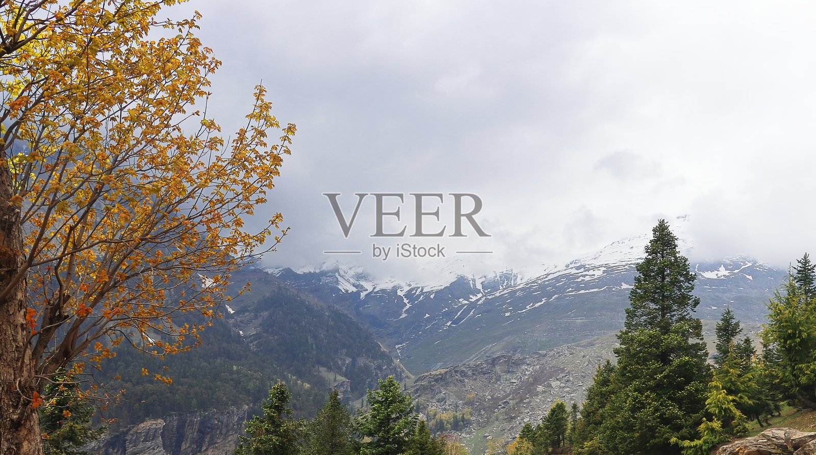 喜马拉雅山的荒野和位于古拉巴观景点附近的美丽山景，印度喜马偕尔邦的著名旅游胜地马纳利山站。照片摄影图片