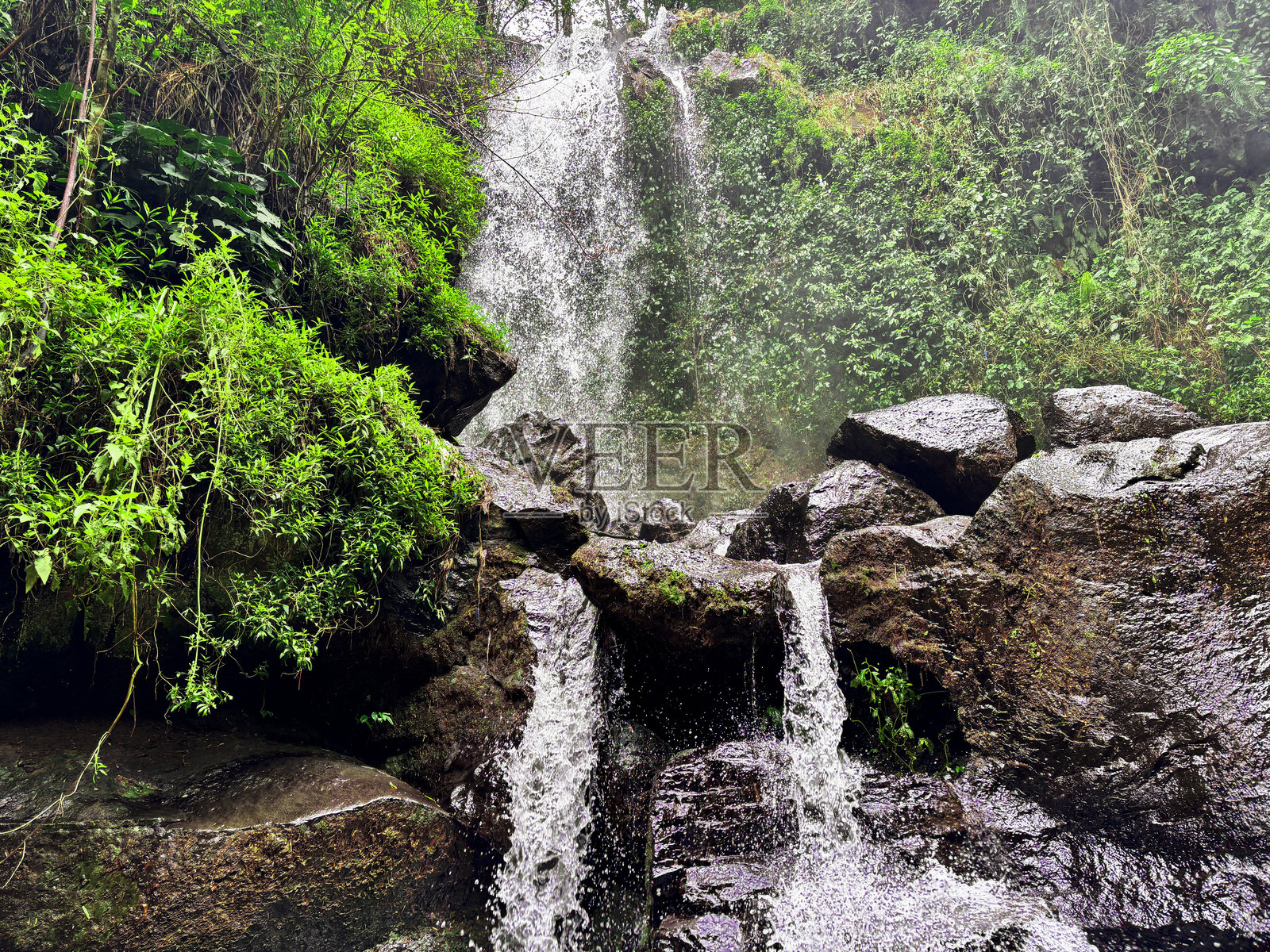 热带瀑布流淌在郁郁葱葱的雨林中照片摄影图片