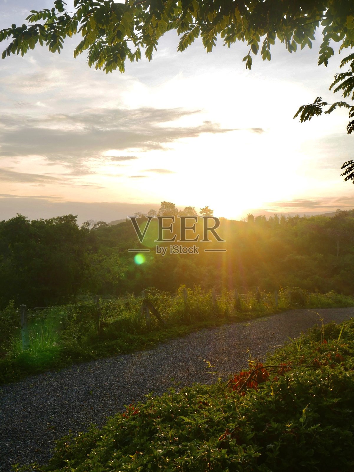 美丽的晨曦风景照片摄影图片