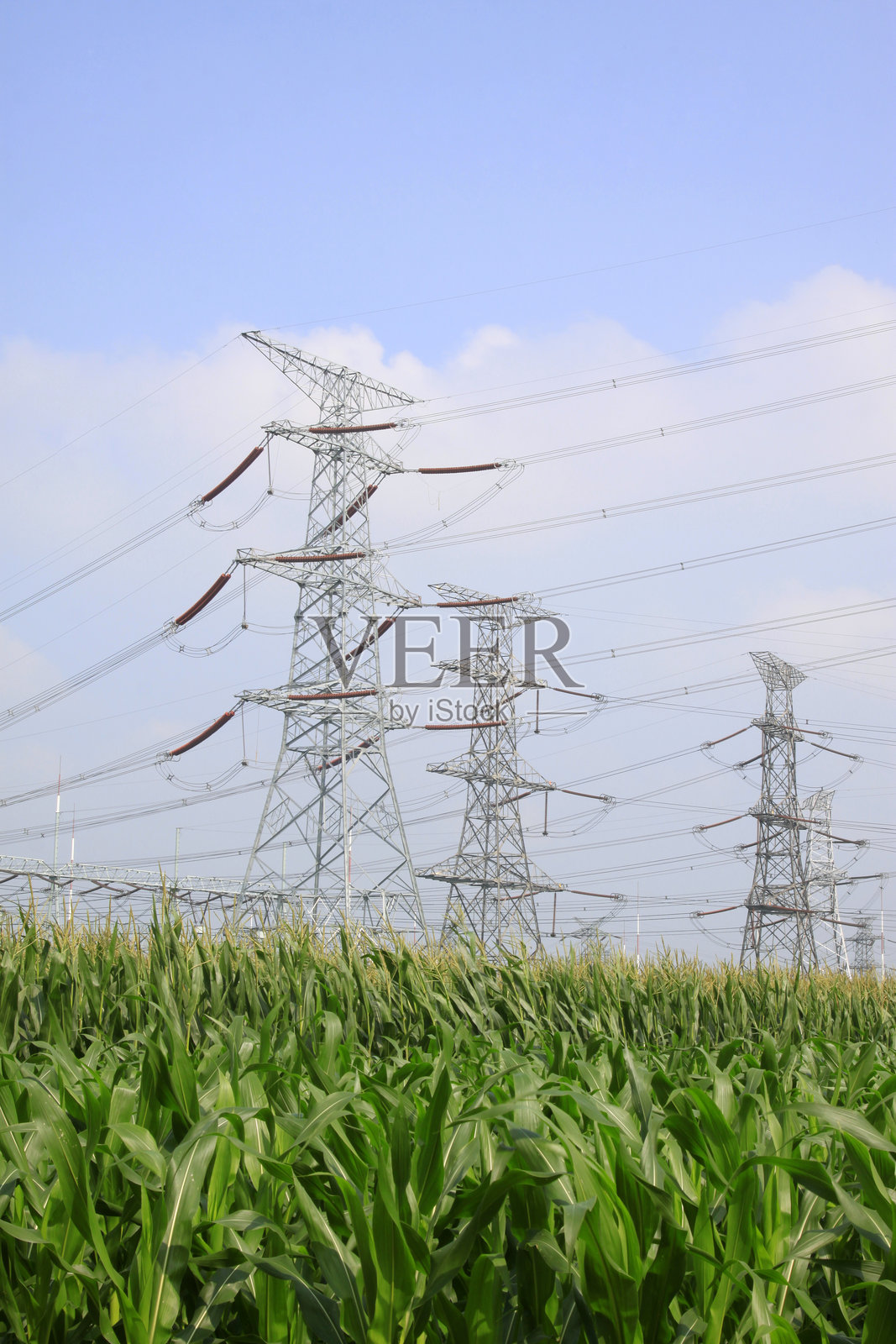 电塔与农作物照片摄影图片