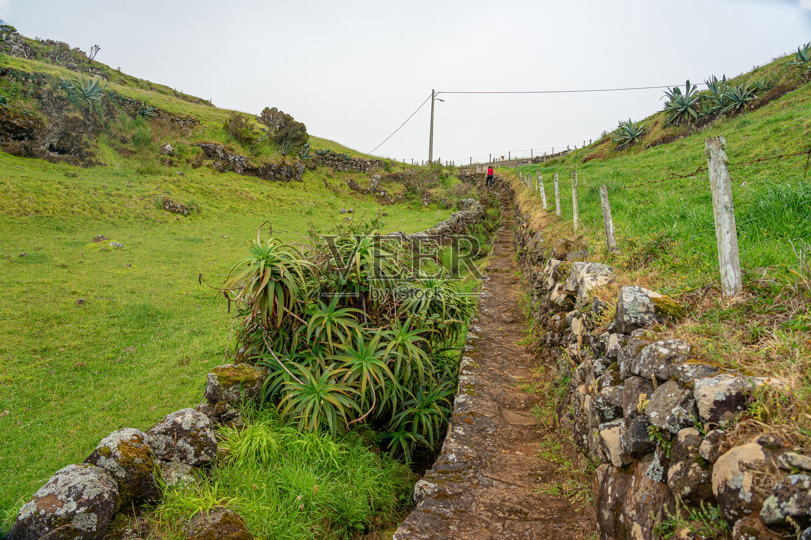 亚速尔群岛圣玛利亚岛上通往Fonte Clara的人行道周围区域。照片摄影图片