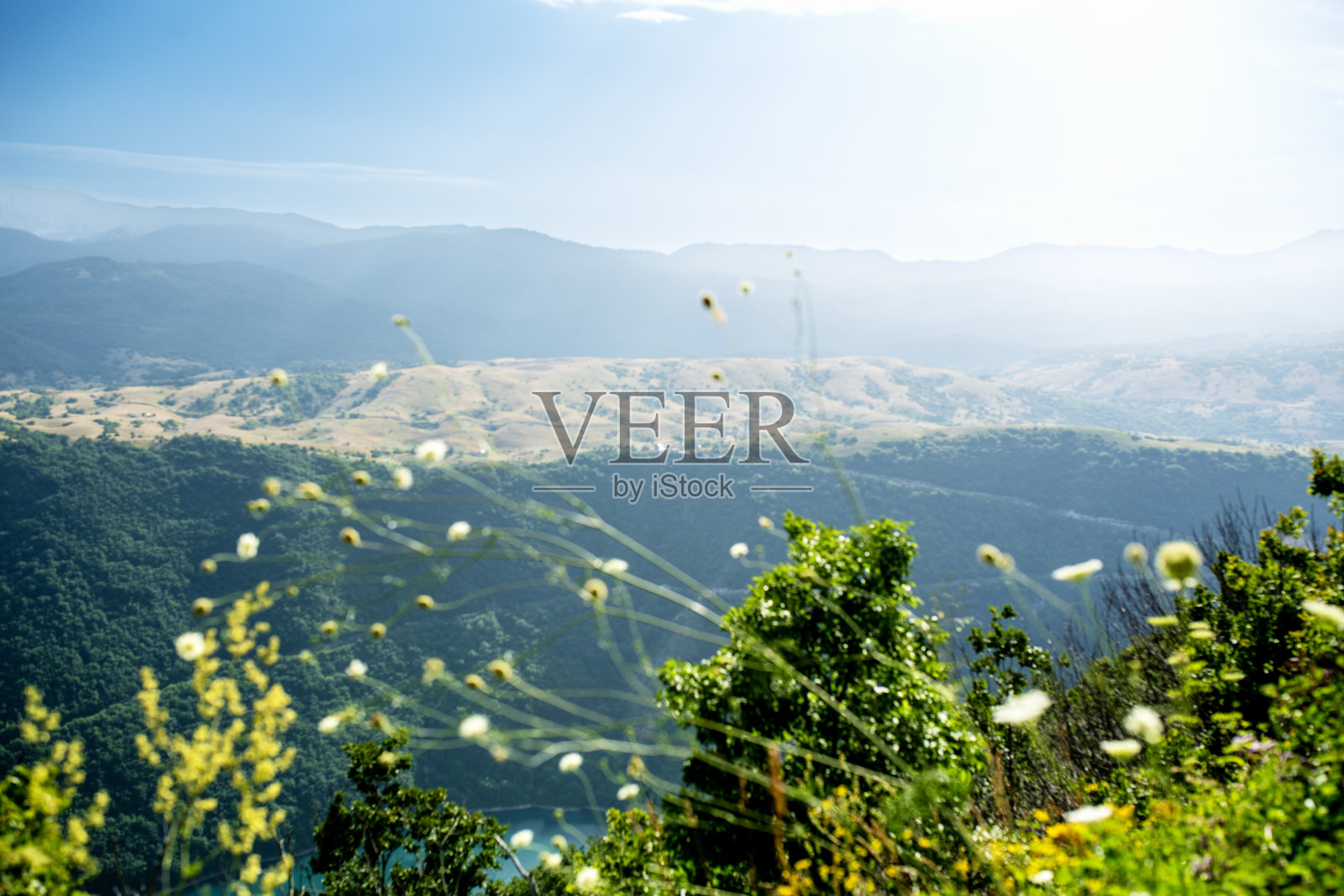 雾气弥漫的山地风景，柔和的光线和野生植被照片摄影图片