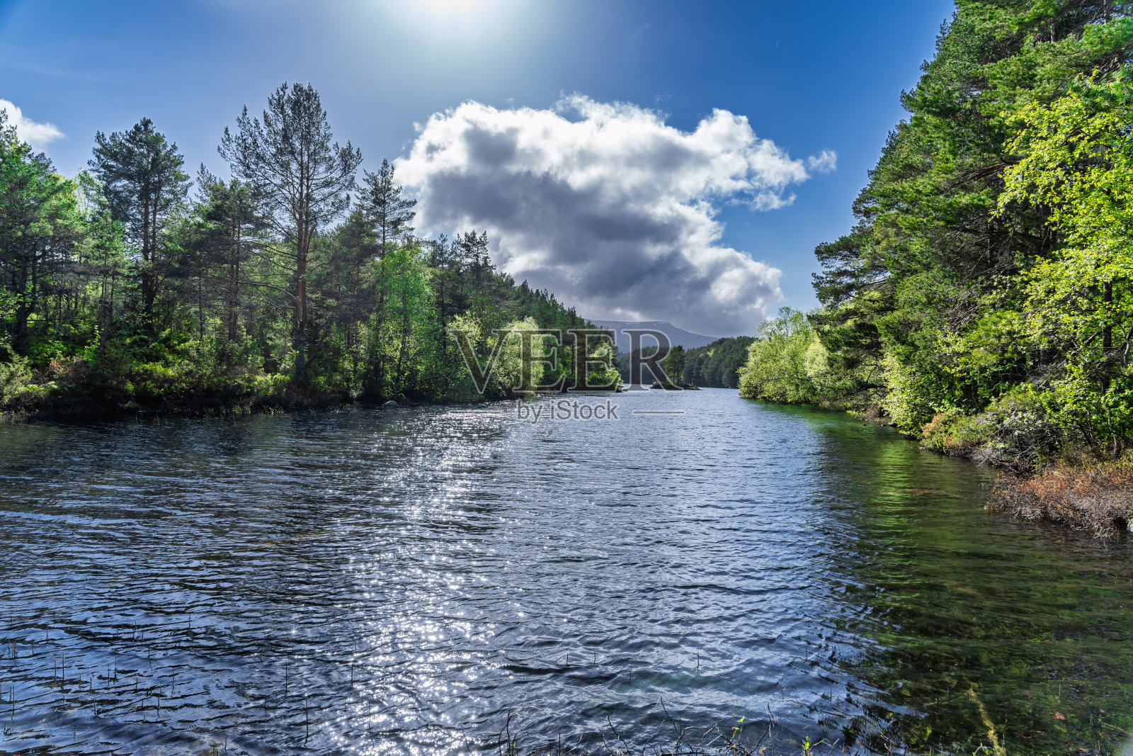 挪威奥勒松苏拉的湖泊，绿树环绕，蓝天白云。照片摄影图片