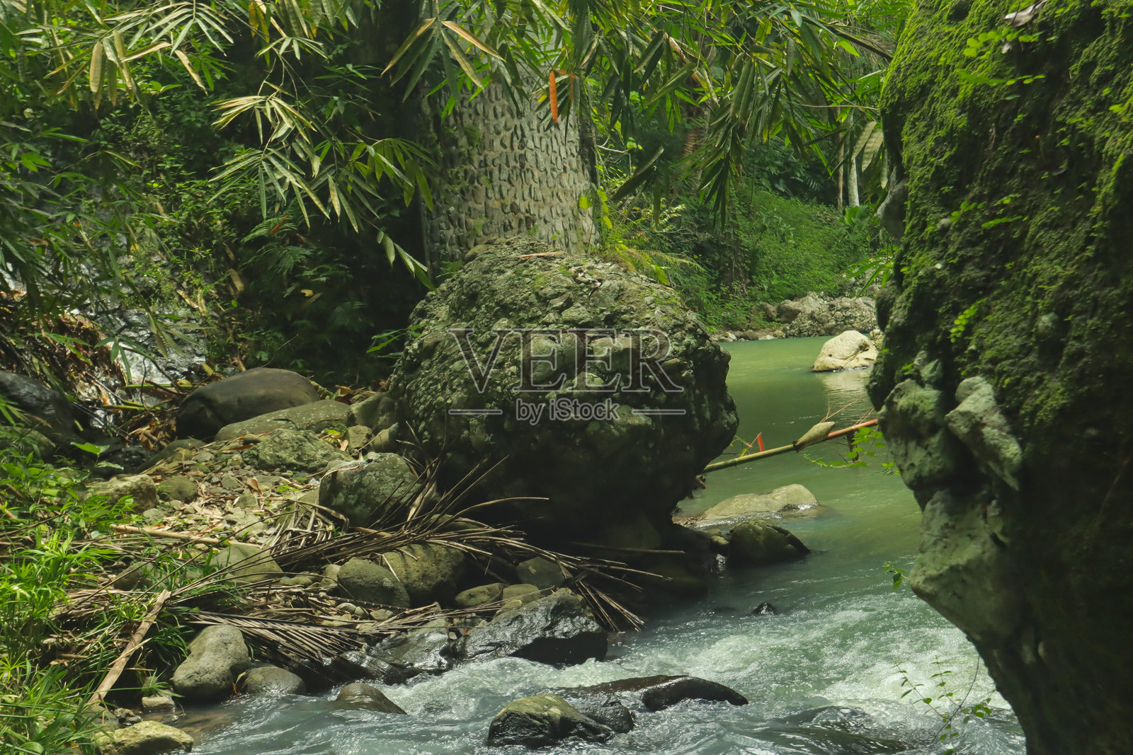 热带森林中山溪流过岩石照片摄影图片