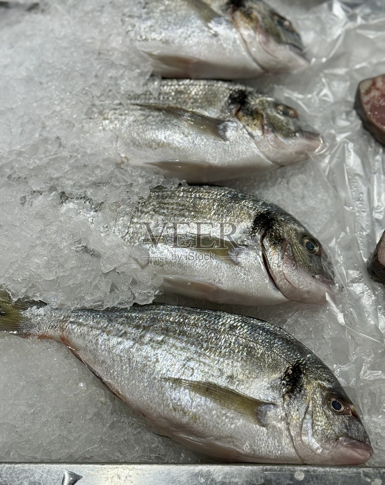 生鲜冷藏的多拉多鱼放在鱼店的浅冰上。特写镜头。照片摄影图片