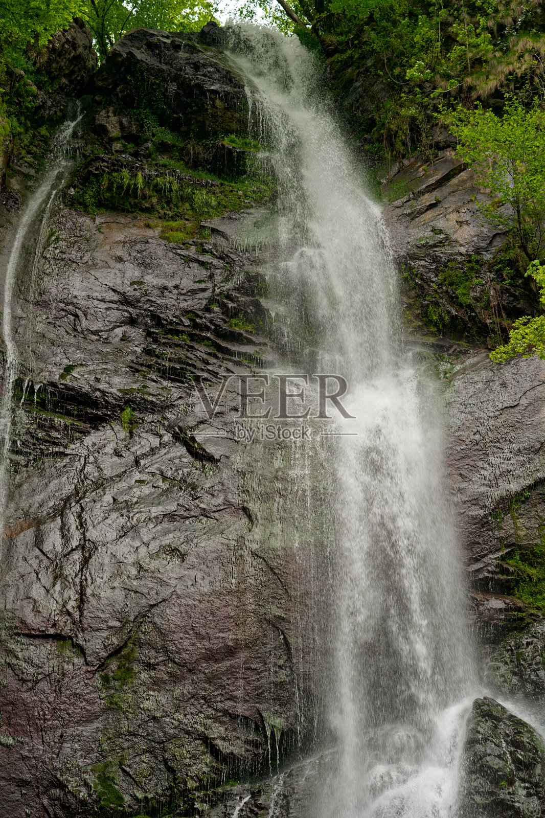 壮观的瀑布从岩石悬崖倾泻而下，四周被巴统（Adjara，格鲁吉亚）的郁郁葱葱的绿植环绕。照片摄影图片