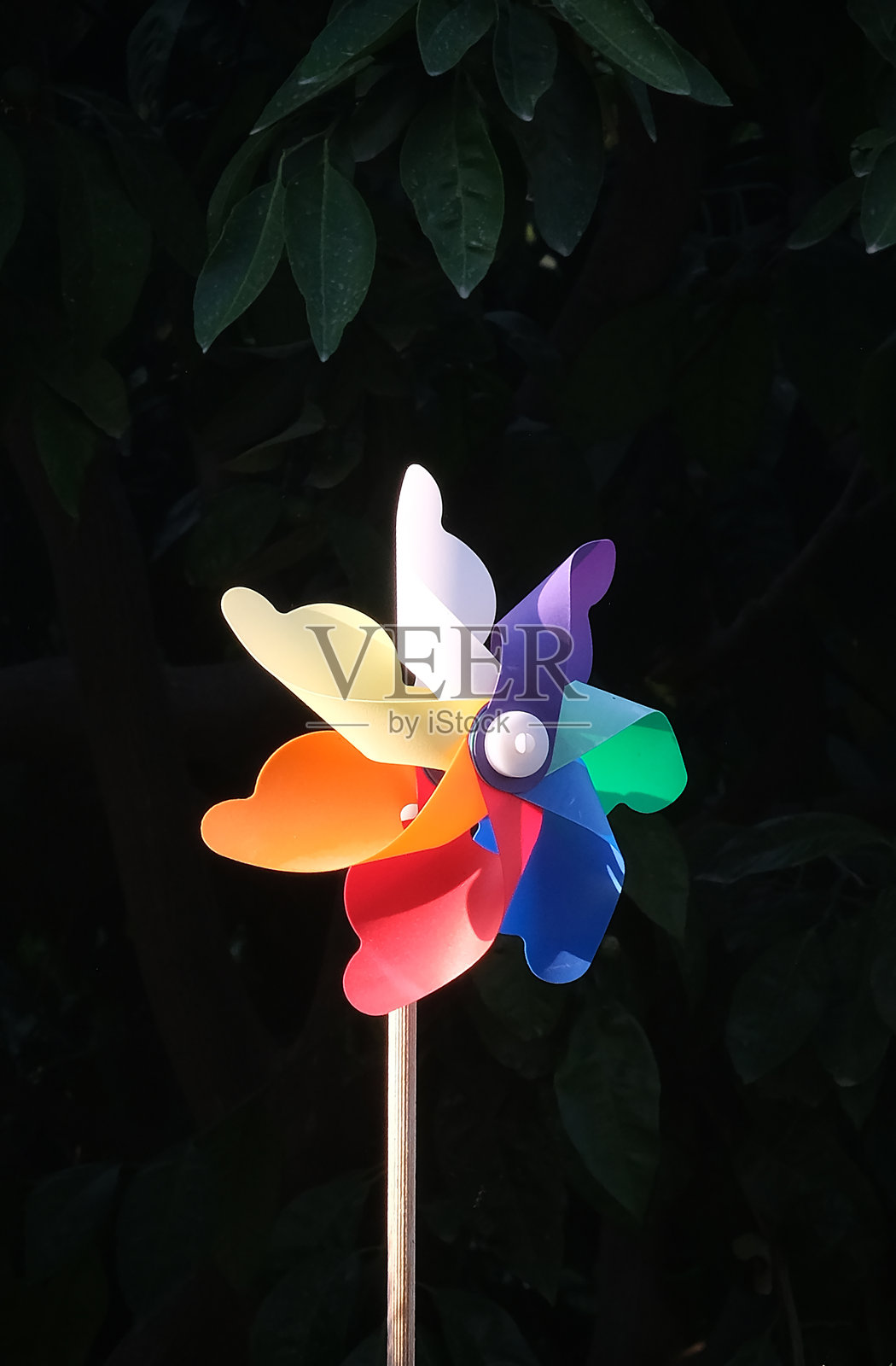 五彩缤纷的风向标花园装饰品照片摄影图片