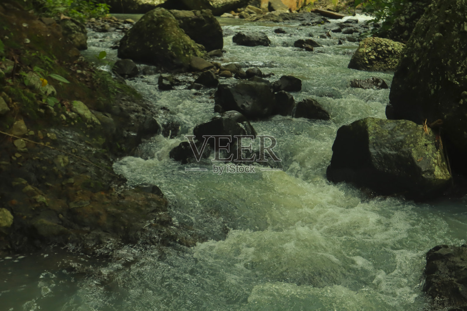 热带森林中山溪流过岩石照片摄影图片