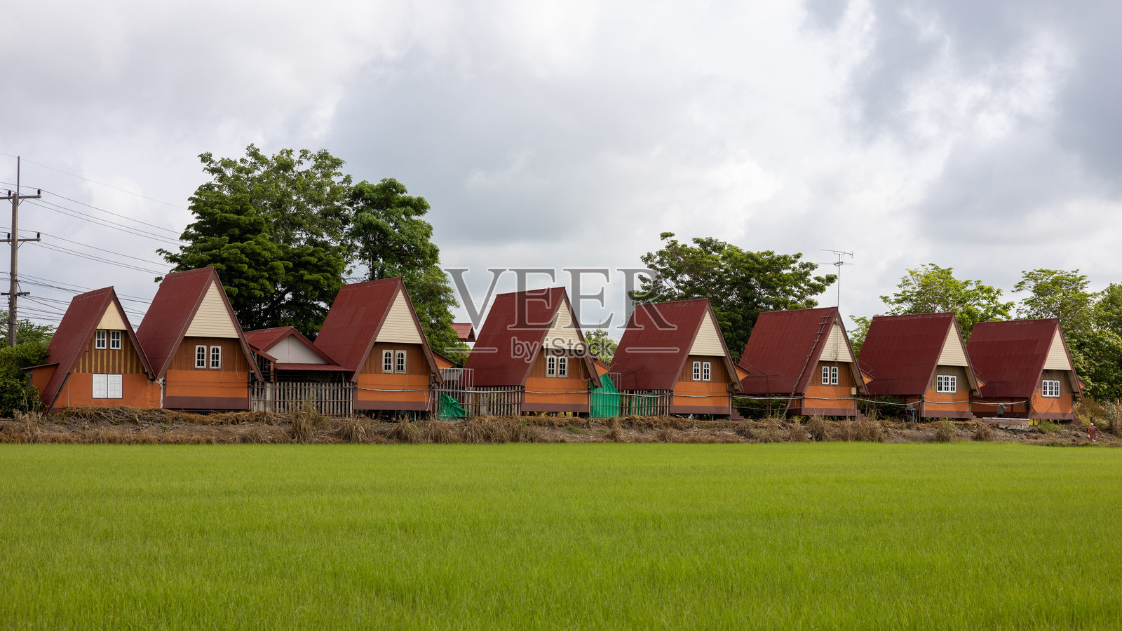 红色屋顶的度假村排成行，旁边是绿色的稻田。照片摄影图片