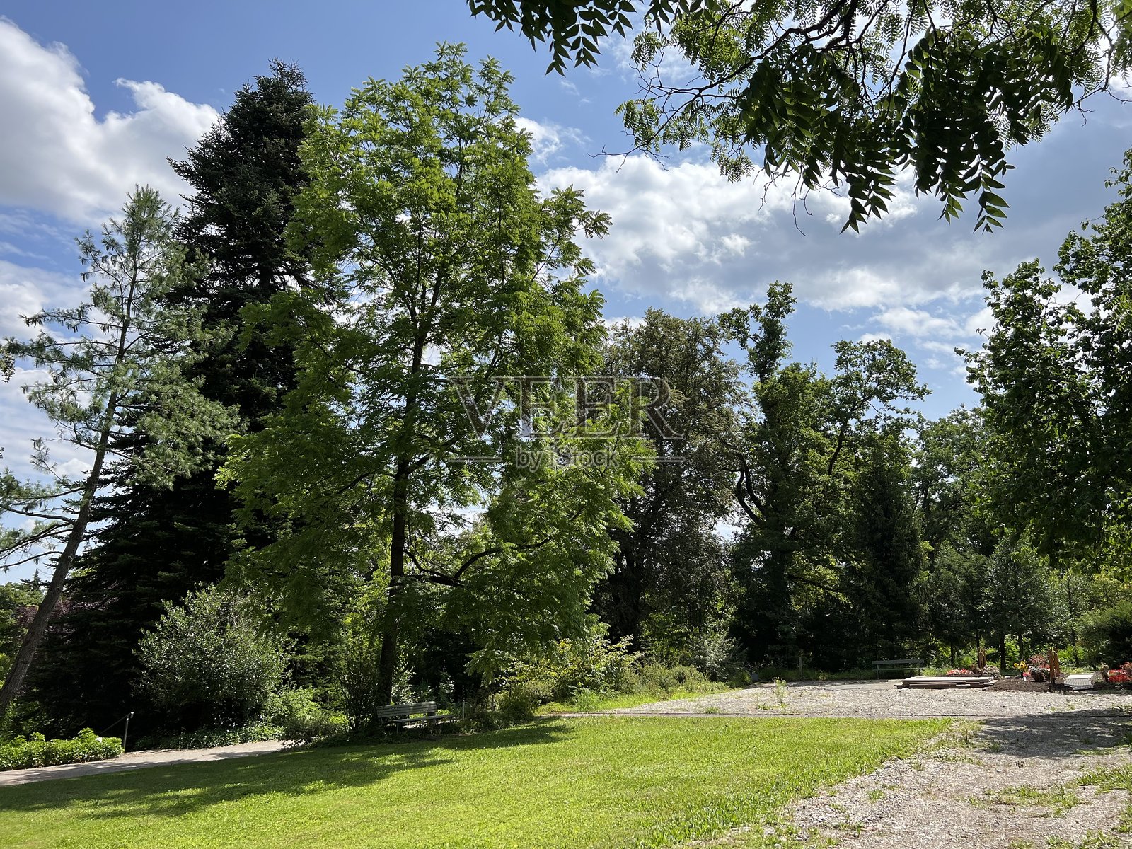 诺德海姆公墓公园或诺德海姆公墓公园 - 瑞士苏黎世照片摄影图片