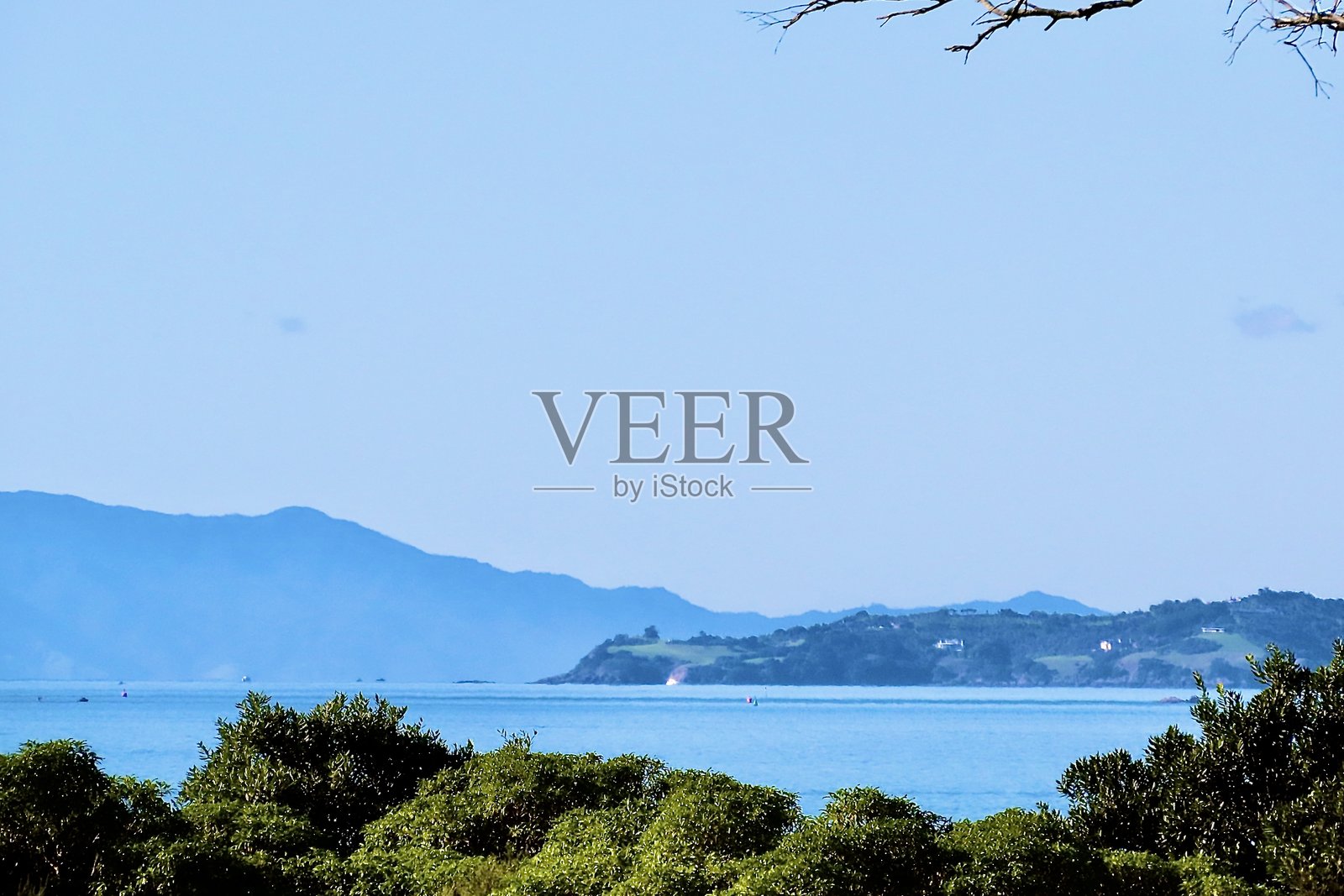 从奥克兰的堡垒点俯瞰哈乌拉基湾的港口和岛屿，透过新西兰本土树木的树冠照片摄影图片