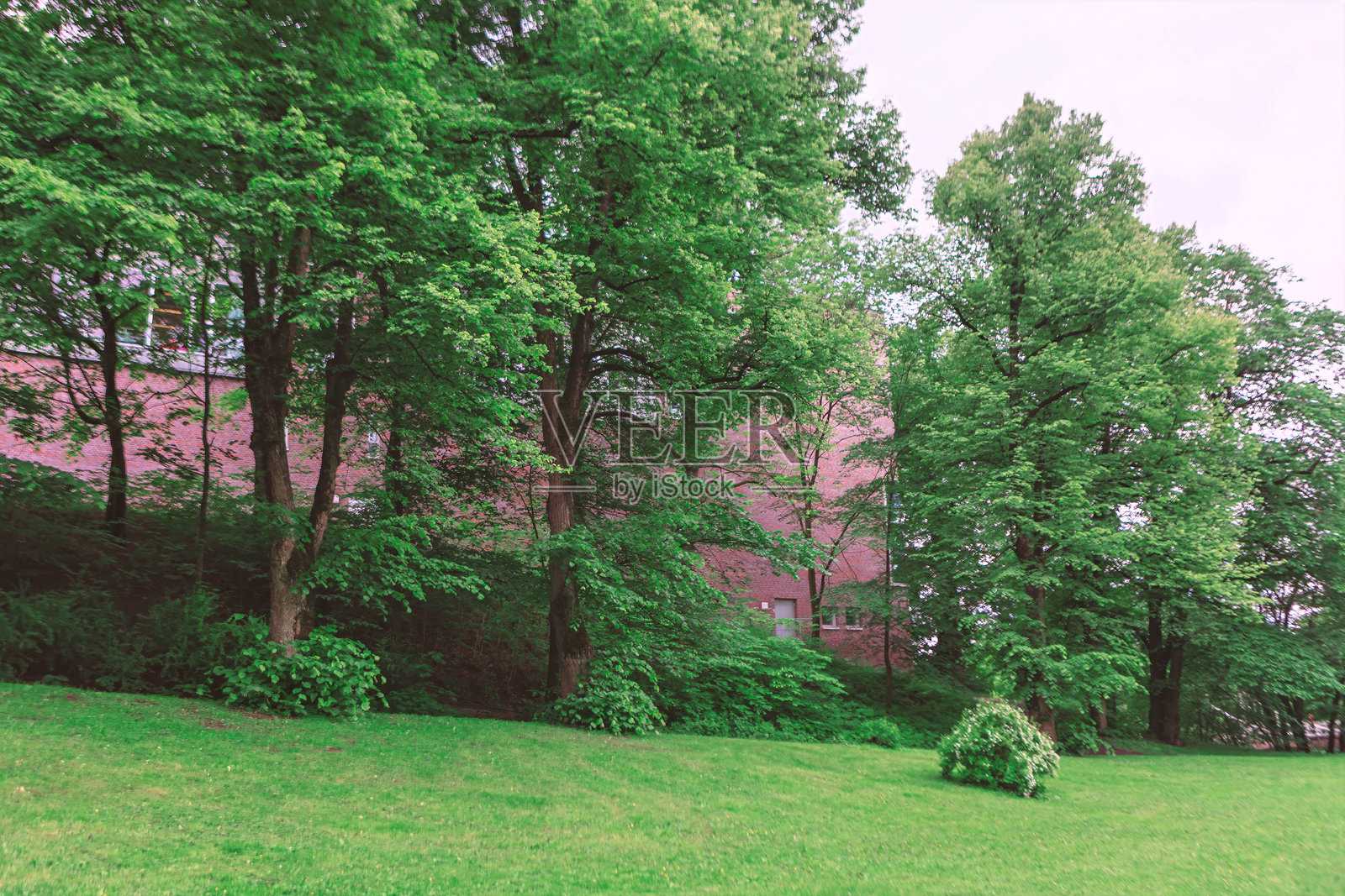 绿草如茵的草坪映衬着砖砌建筑的背景照片摄影图片