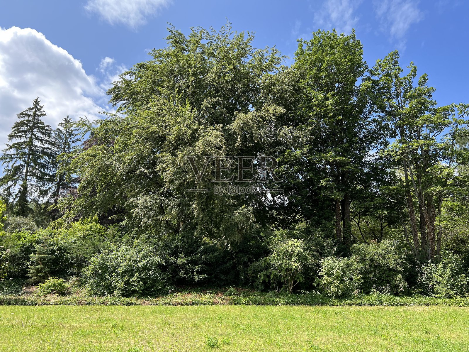 诺德海姆公墓公园或诺德海姆公墓公园 - 瑞士苏黎世照片摄影图片