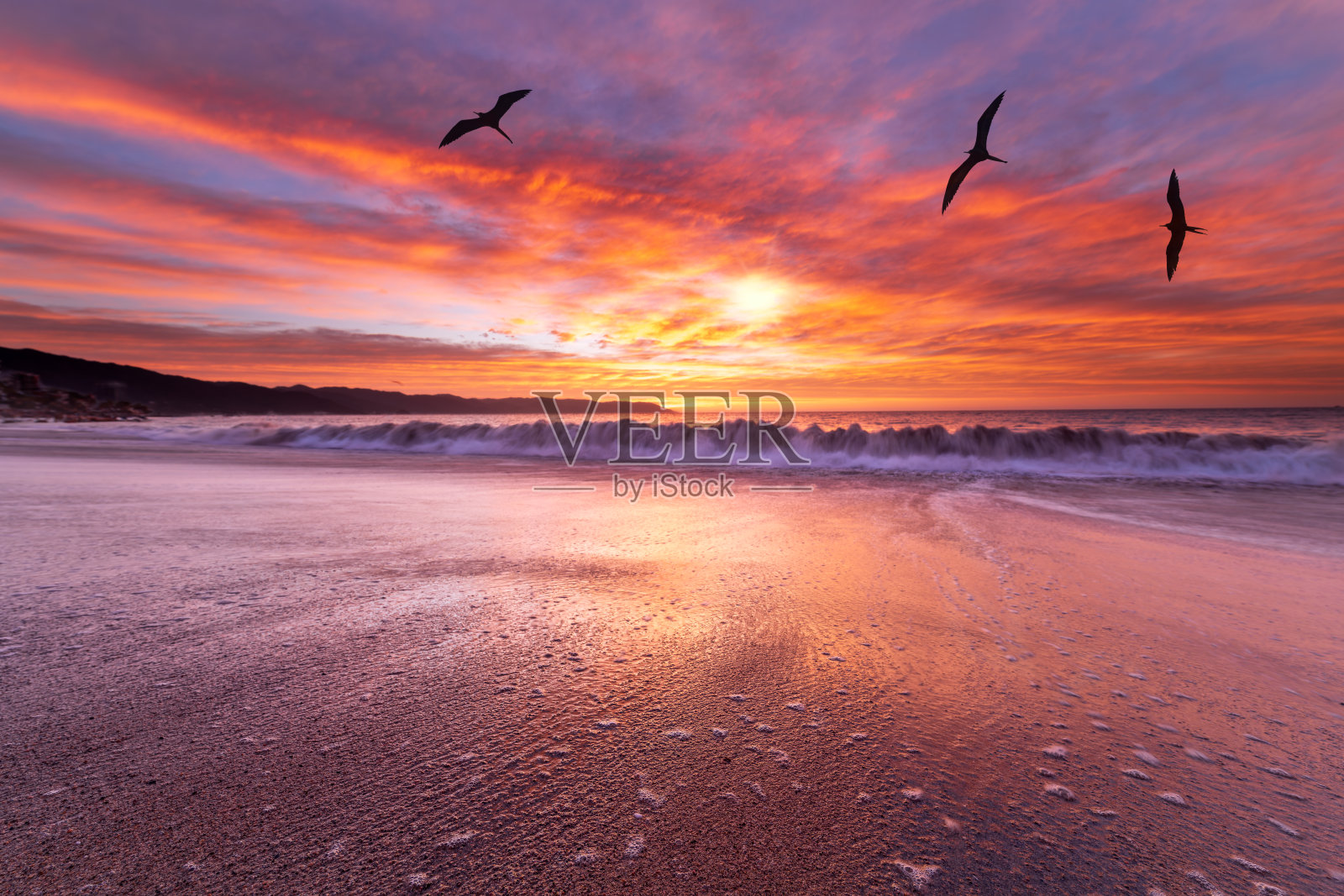 日落海洋海景鸟类色彩斑斓超现实启发性海滩自然风景日出照片摄影图片