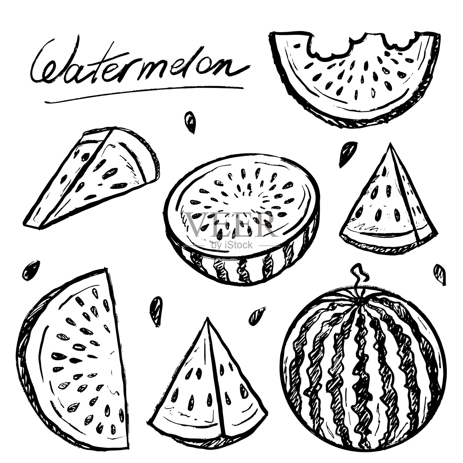 整颗、西瓜半切、切片的西瓜，带有种子的黑色毛笔纹理，独立于白色背景。手绘的矢量素描插图，采用复古木炭墨水风格。夏日气息，鲜美的浆果。插画图片素材