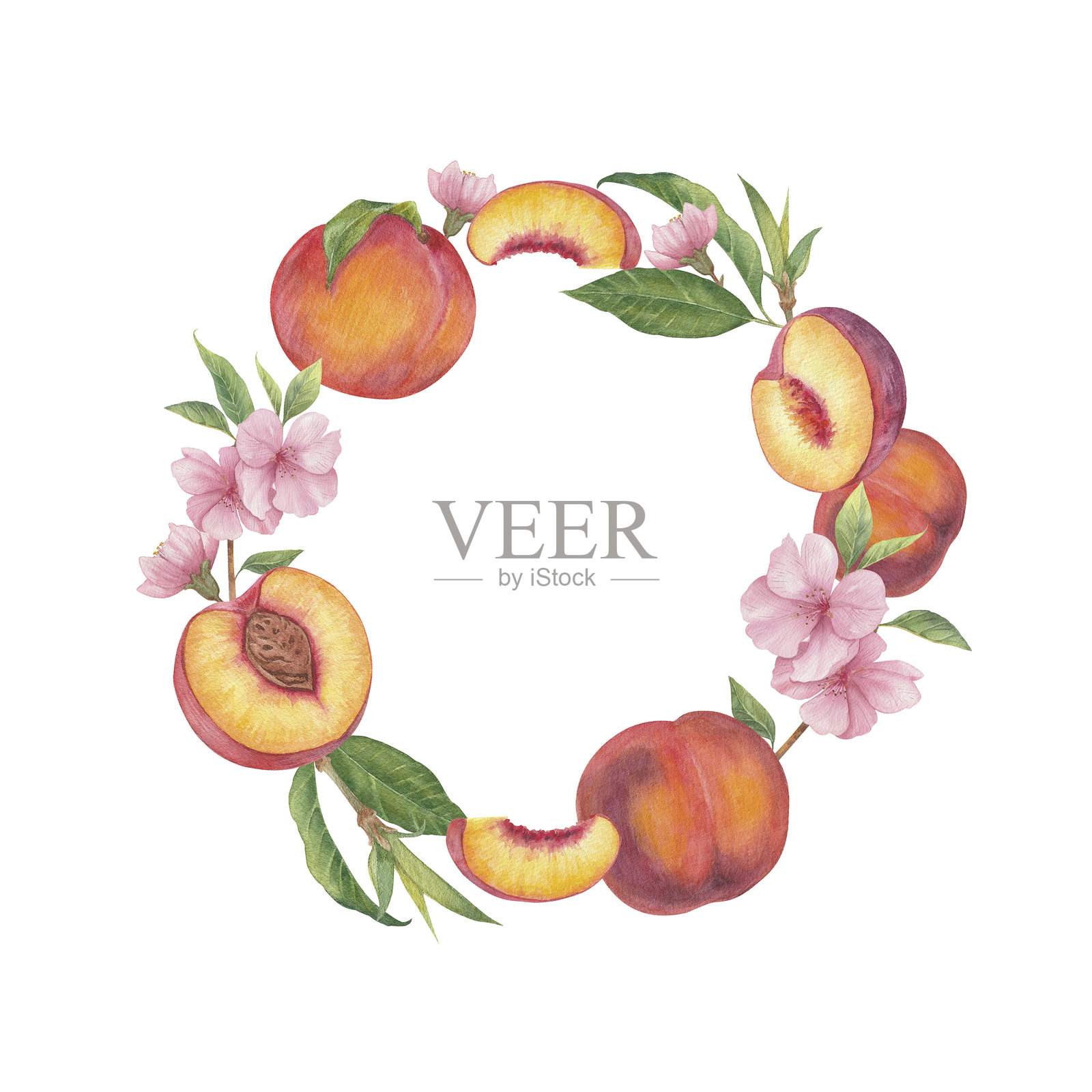 由美味的桃子、水桃花和叶子组成的水彩框架插画图片素材