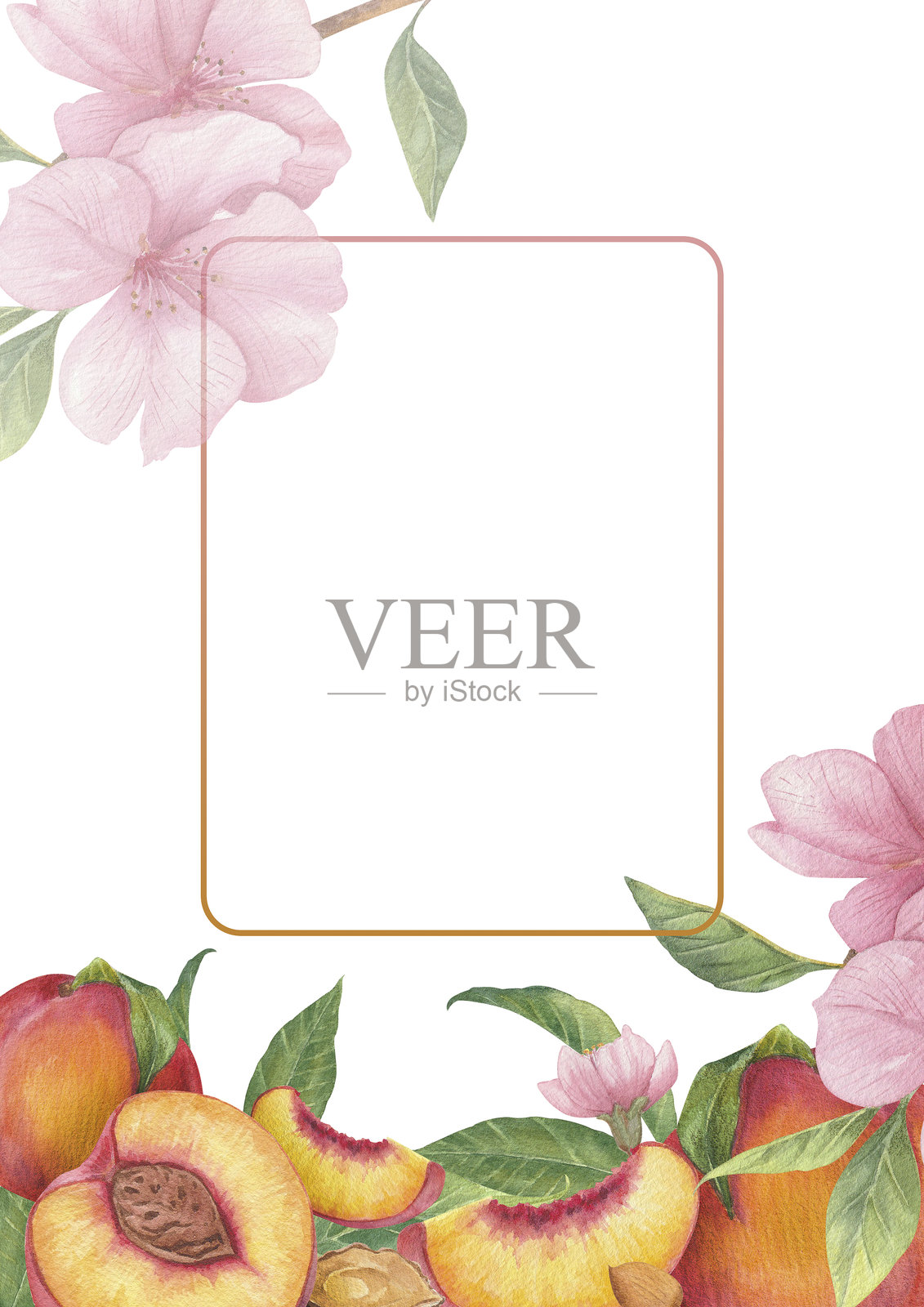 由美味的桃子、水桃花和叶子组成的水彩框架插画图片素材