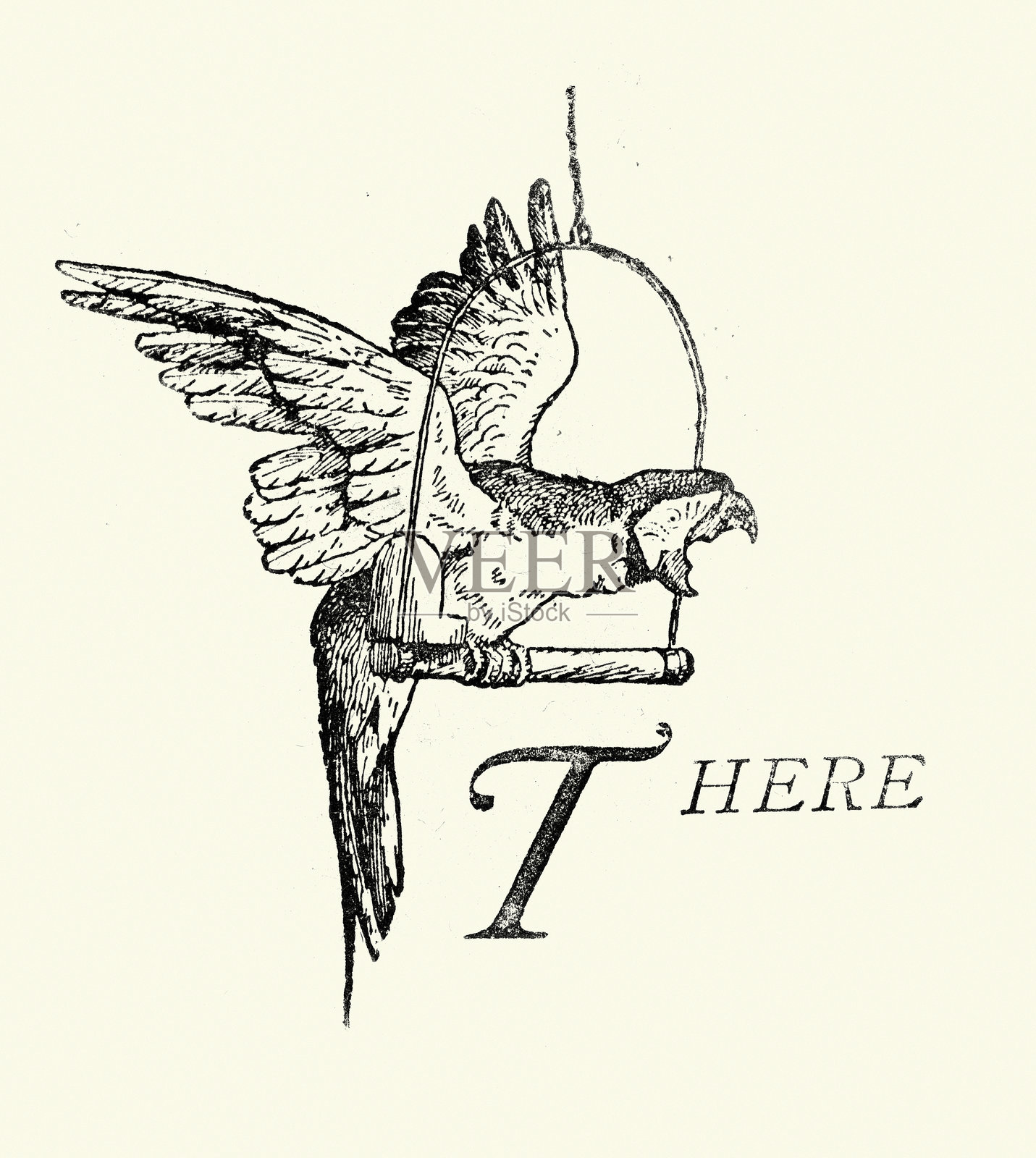 在栖木上叫嚷的鹦鹉，维多利亚风格，19世纪，1890年代插画图片素材