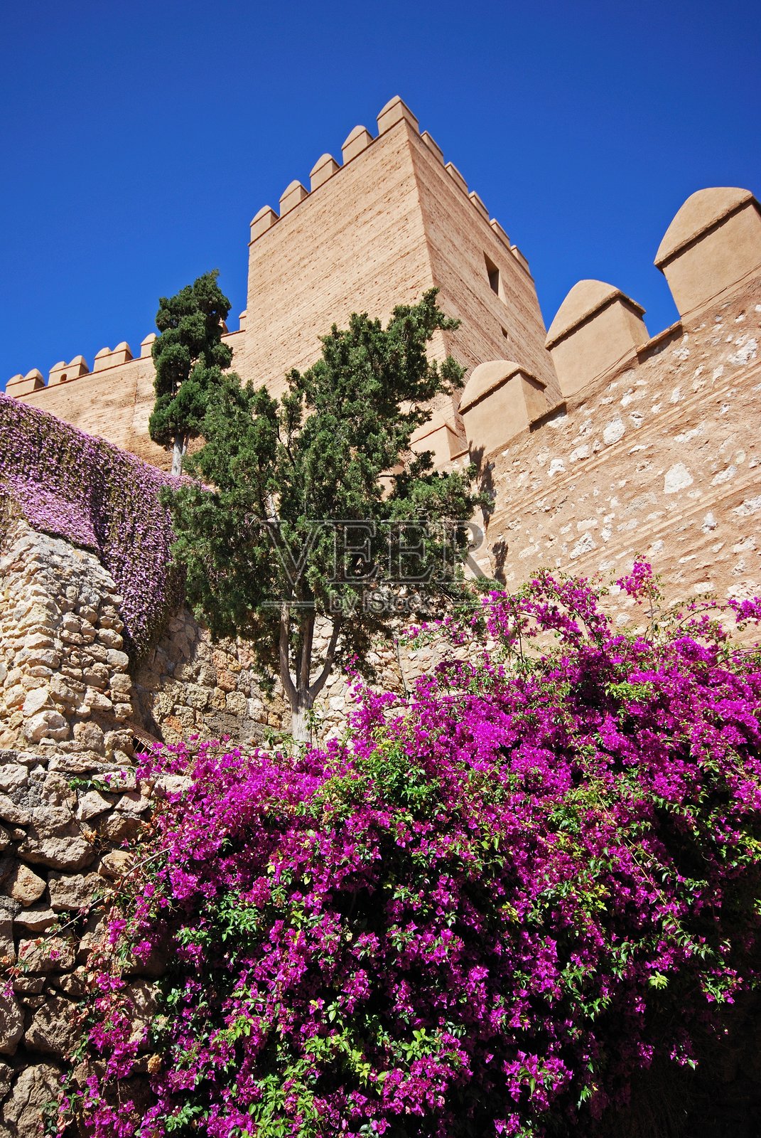 阿尔梅里亚城堡。照片摄影图片