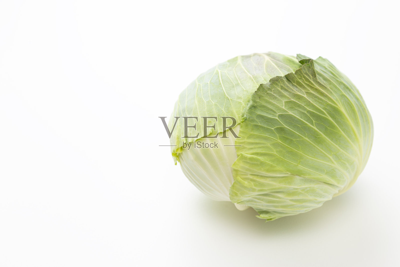 白色背景上的卷心菜。照片摄影图片