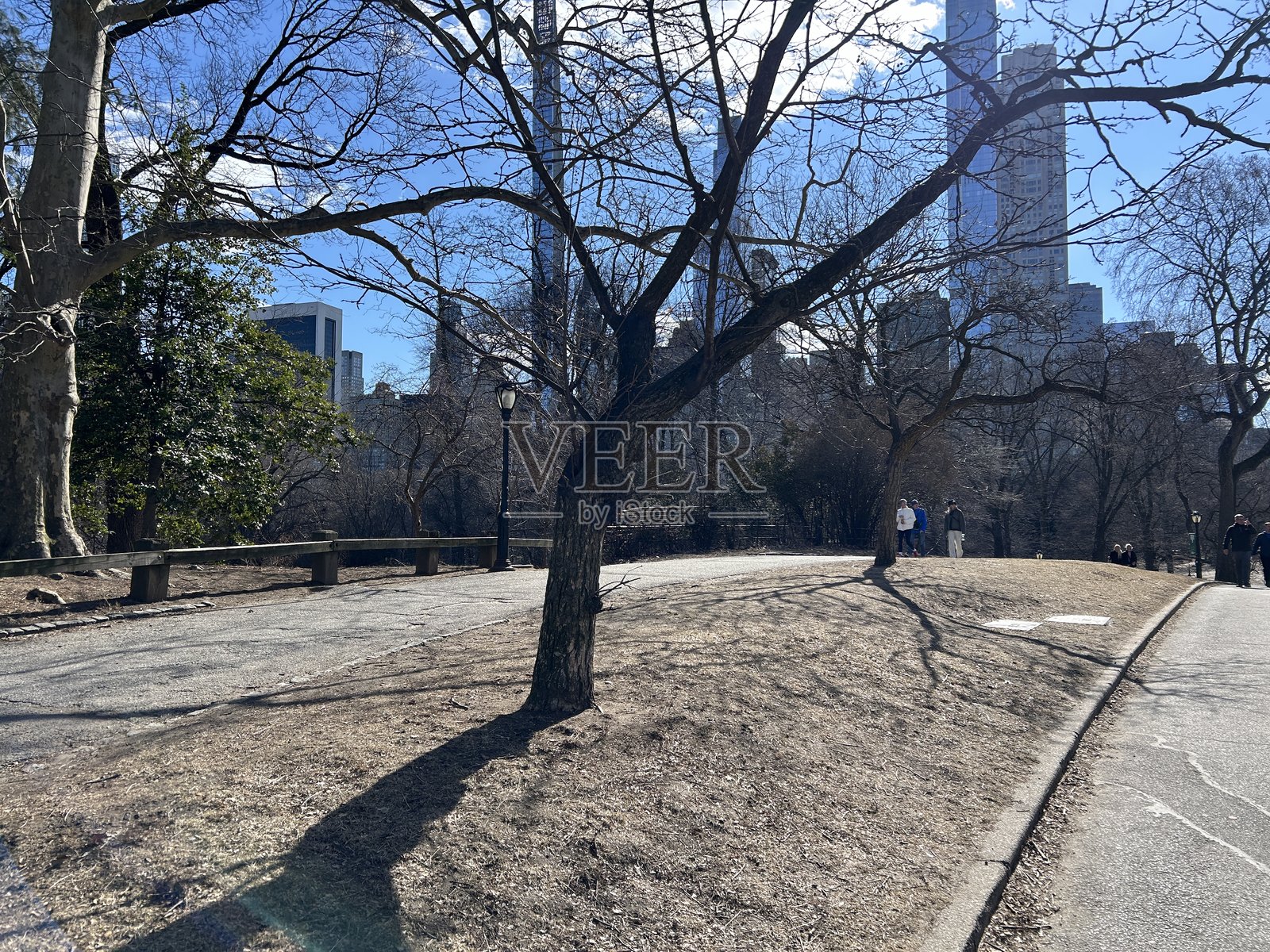 中央公园照片摄影图片