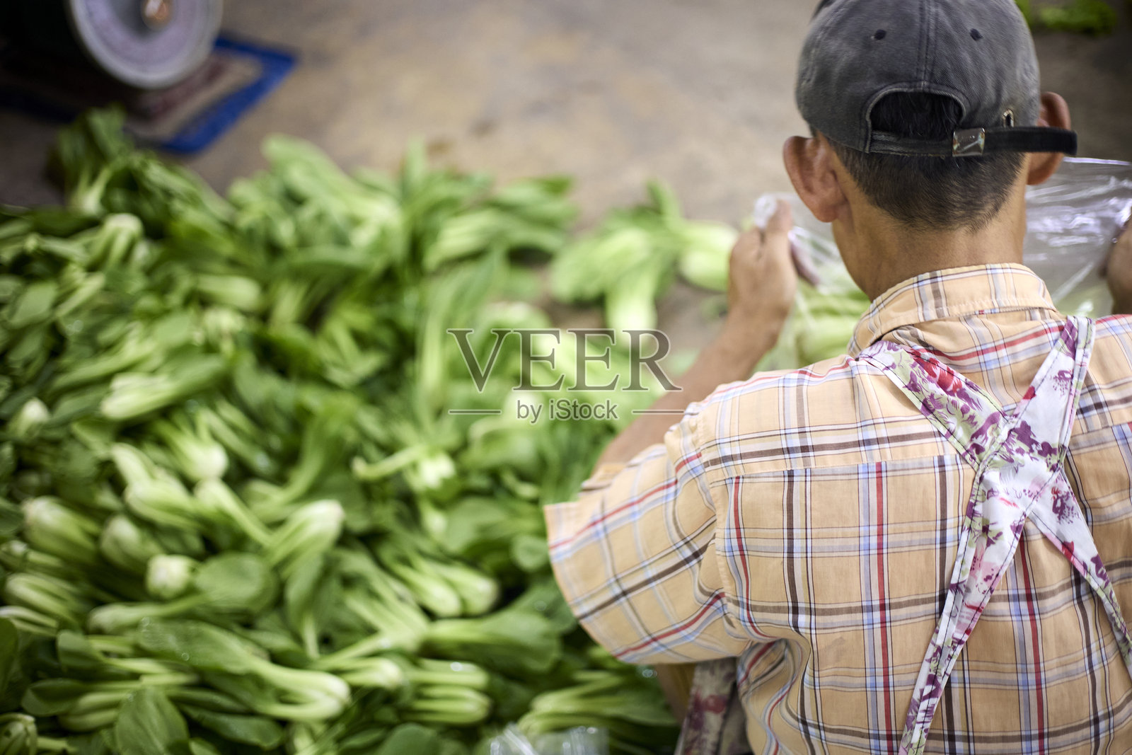 供应商手工分类新鲜小白菜照片摄影图片
