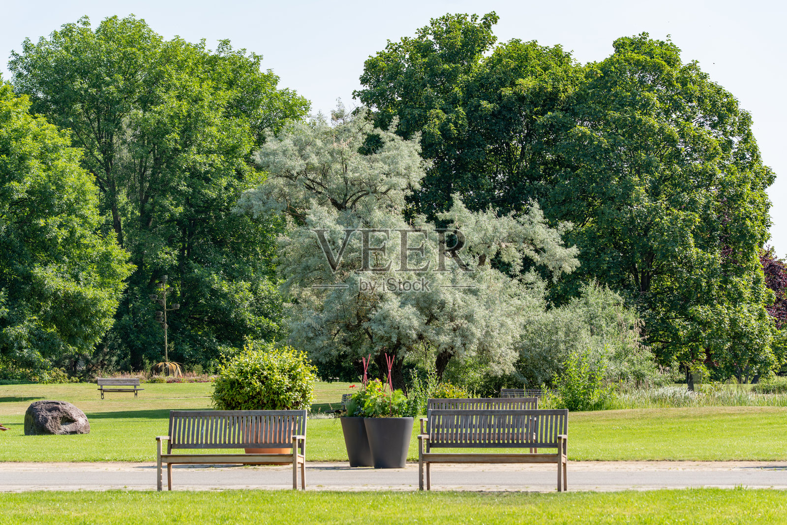公园里两张木长椅前面是五彩斑斓的树木背景。照片摄影图片