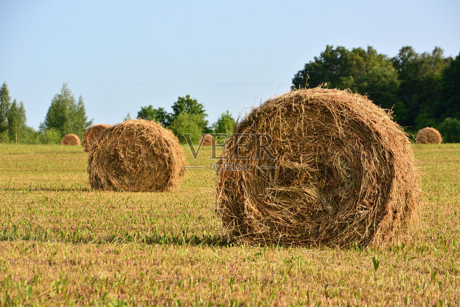 阳光明媚的乡村田野里的干草堆与蓝天照片摄影图片
