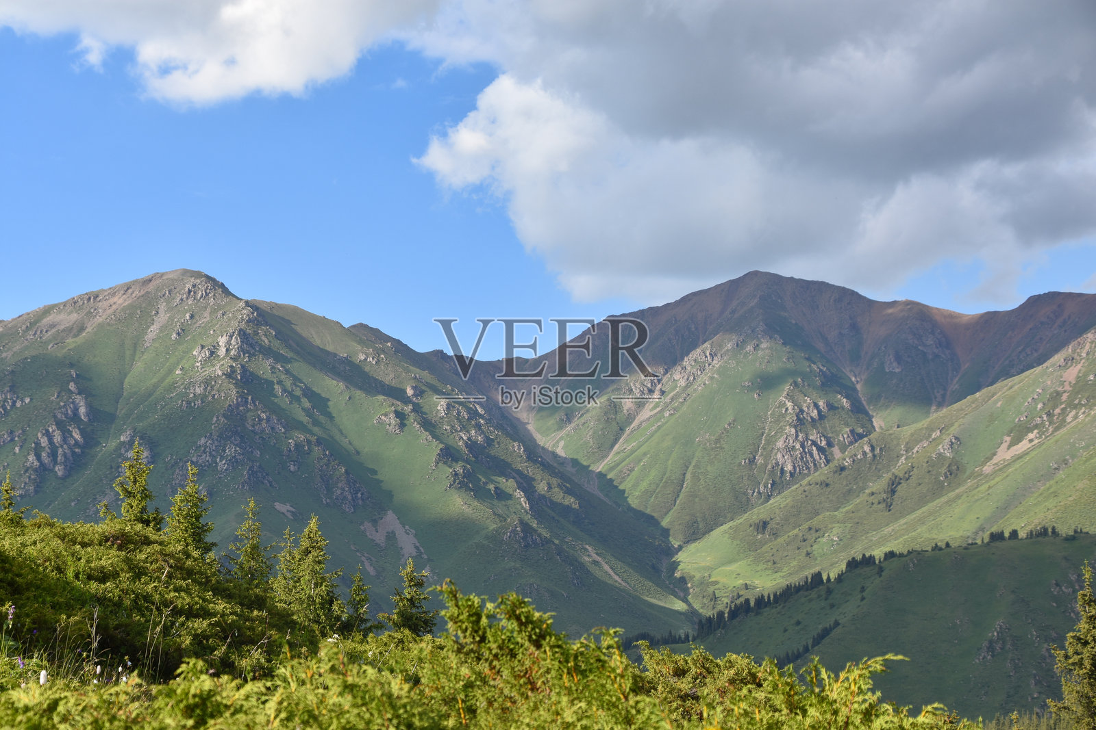 哈萨克斯坦大阿尔马图湖附近的绿色森林山脉照片摄影图片