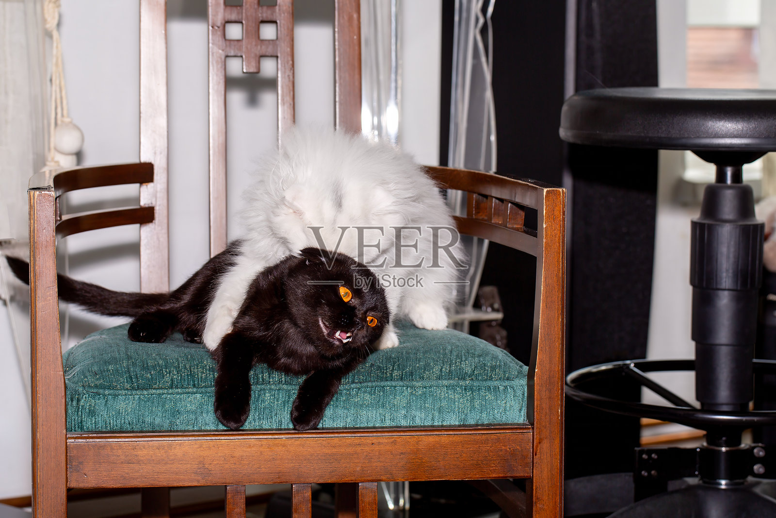 被爱包围，凝视太空照片摄影图片