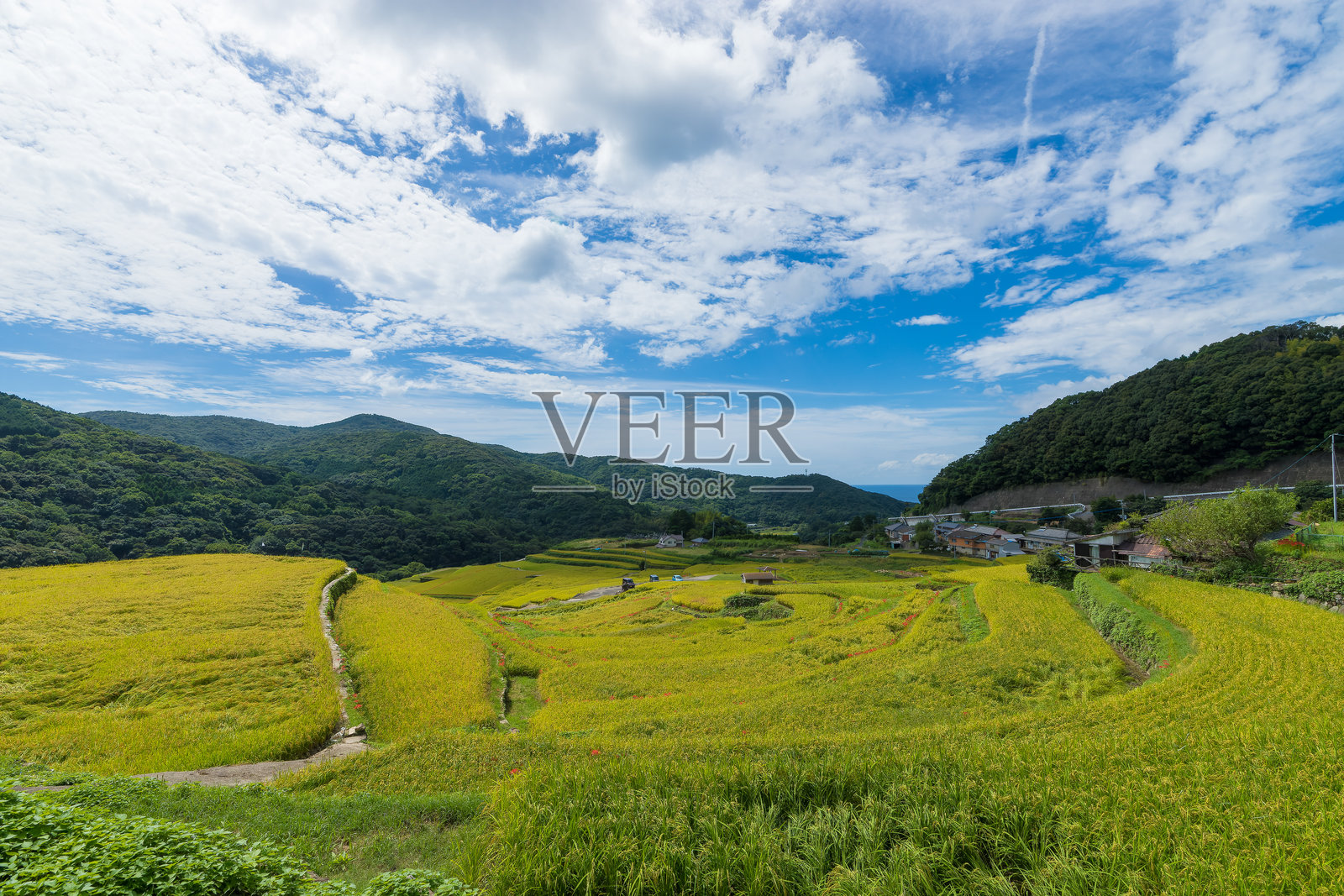 稻田梯田与天空照片摄影图片