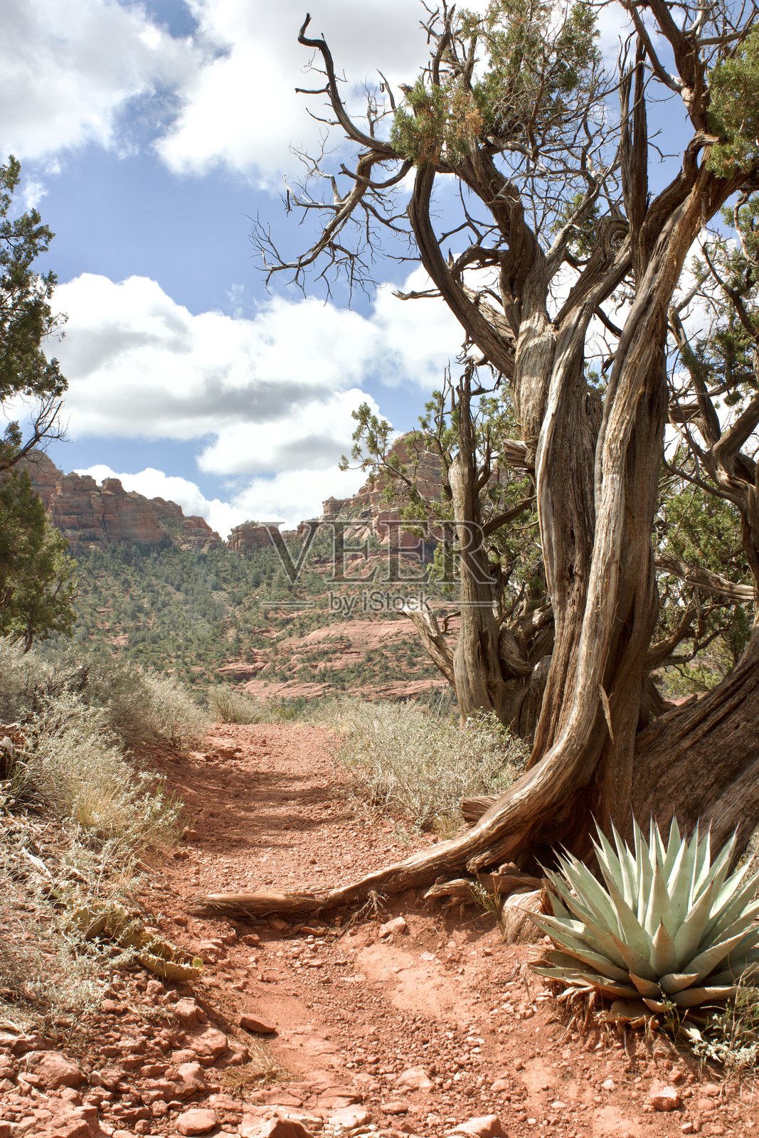 塞多纳，亚利桑那州 - 2025照片摄影图片