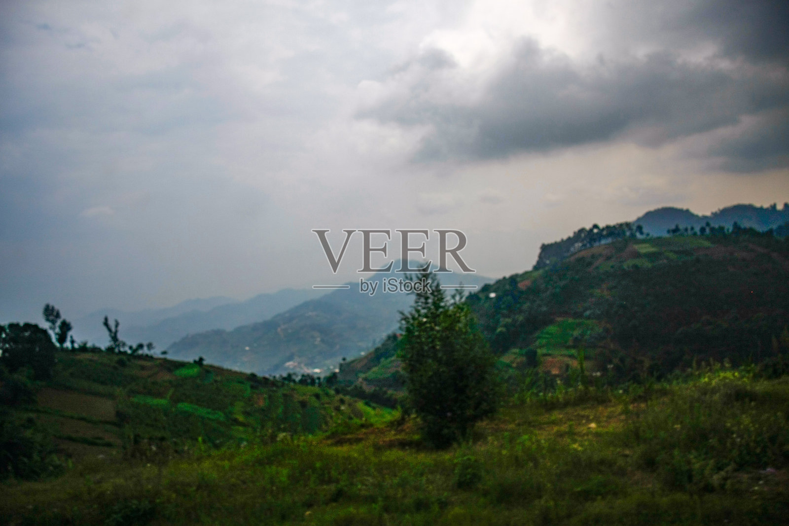 气氛优美的卢旺达山丘，远处有山脉和孤独的树木照片摄影图片