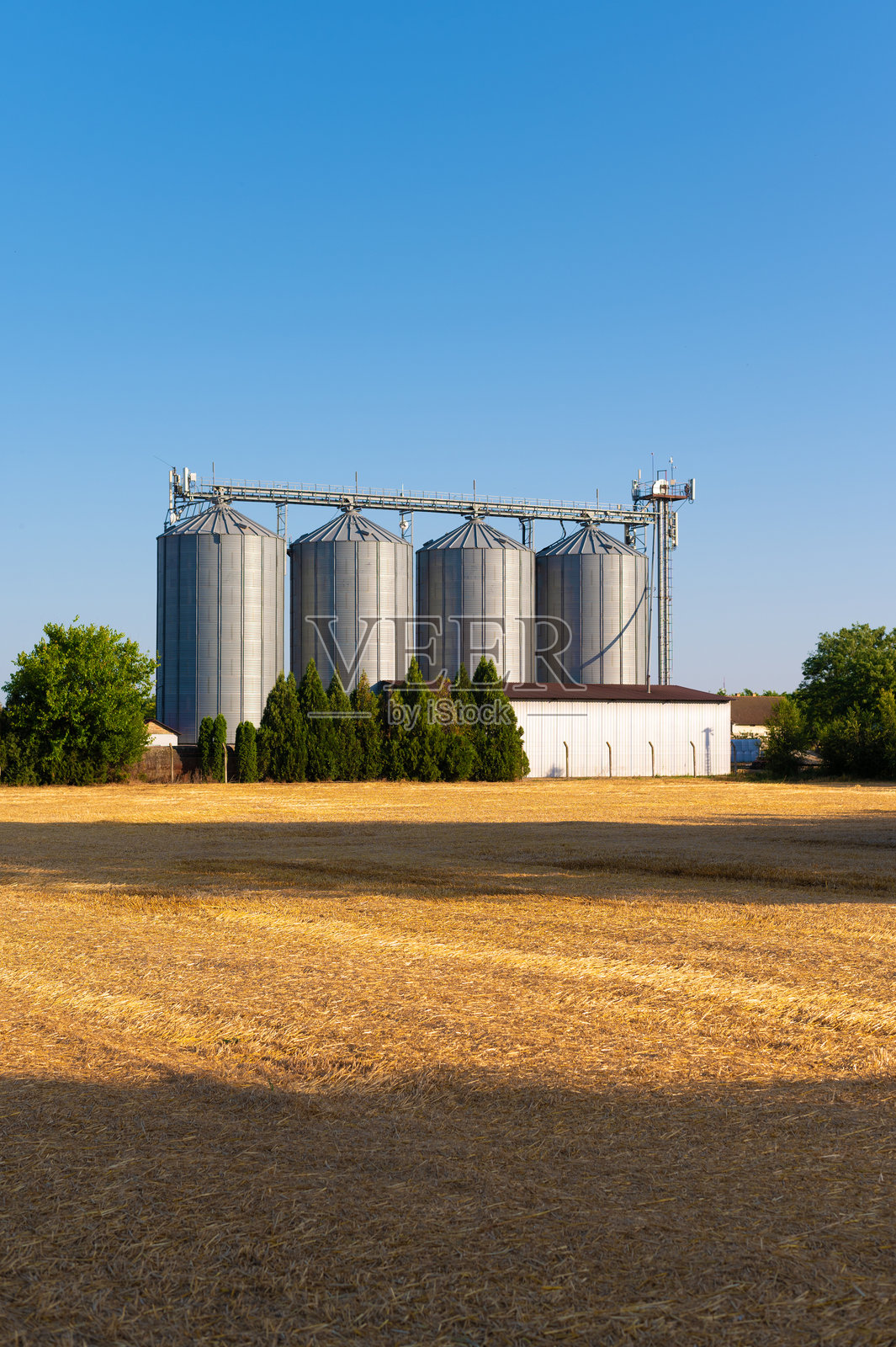 收获后农业田旁的麦子仓库照片摄影图片