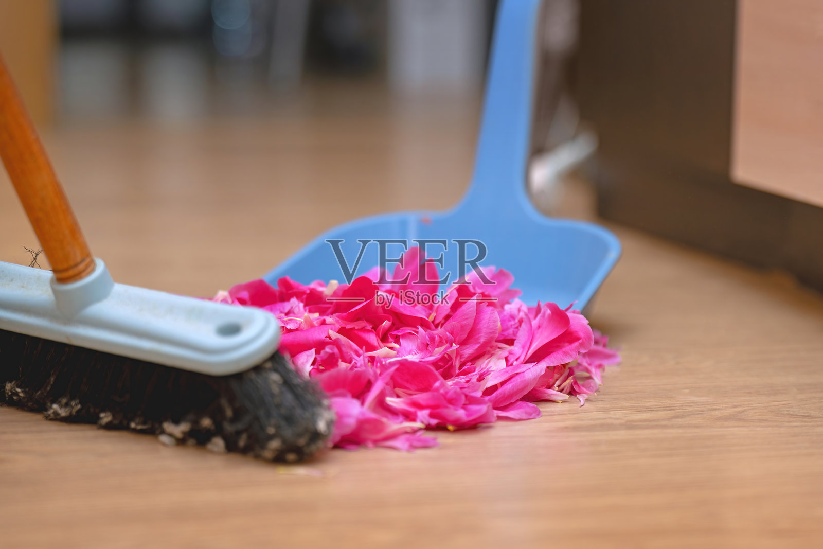 用刷子将粉色玫瑰花瓣扫入簸箕，象征着一段浪漫关系的结束照片摄影图片