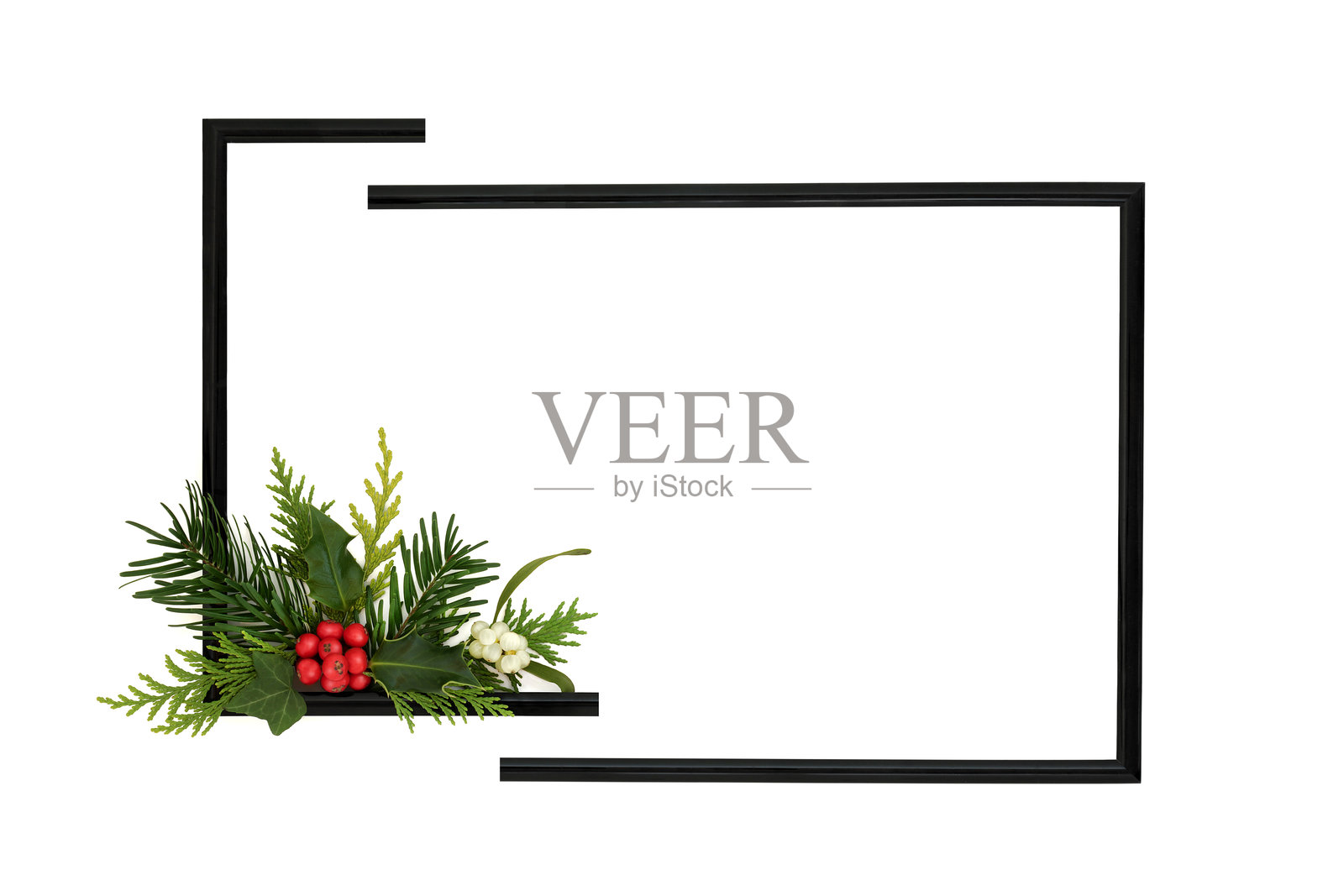 抽象节日圣诞冬季植物冬青框架照片摄影图片