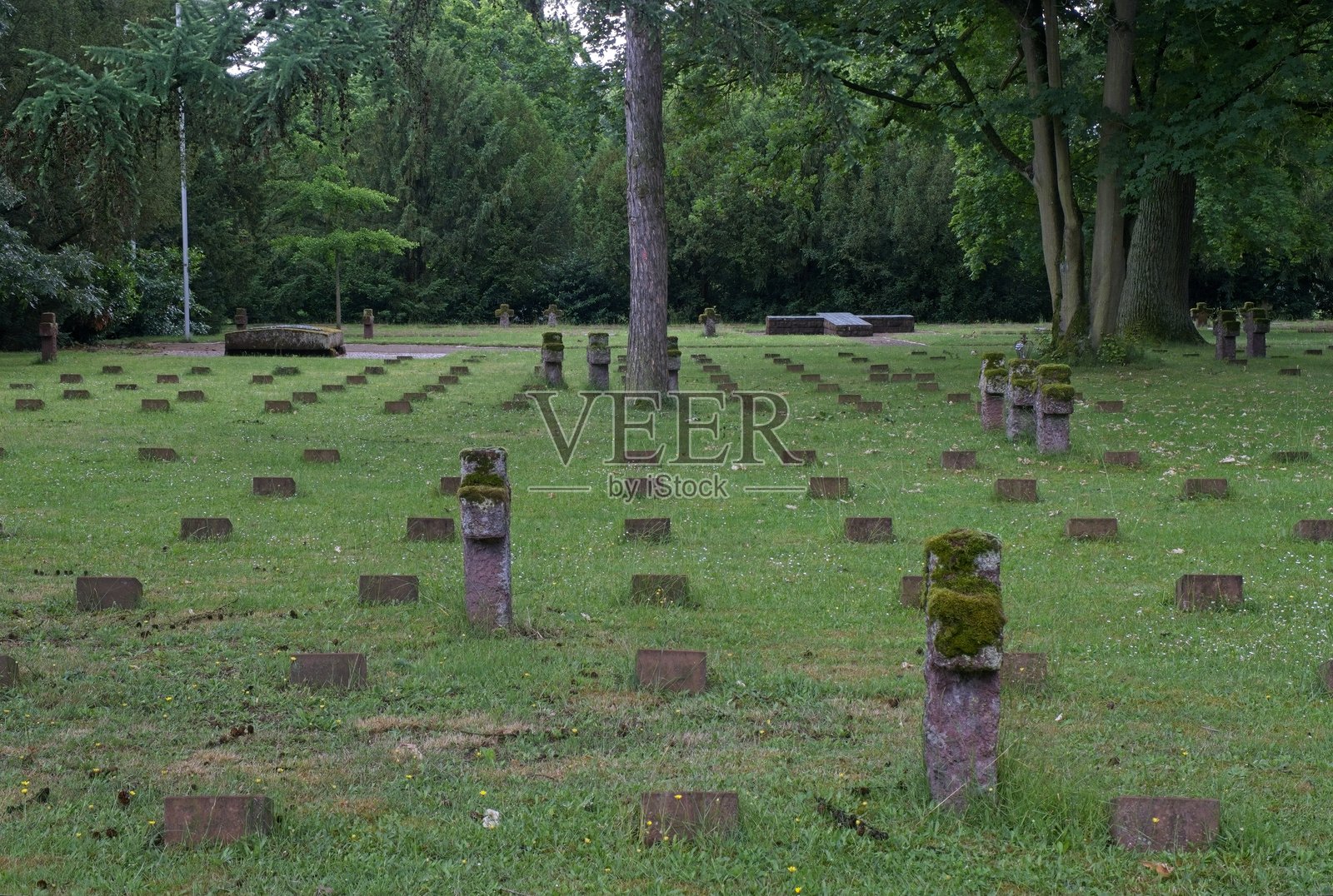 哈布特弗里德霍夫公墓包含1886个二战德国墓葬。阳光明媚的春天，选择性对焦。照片摄影图片