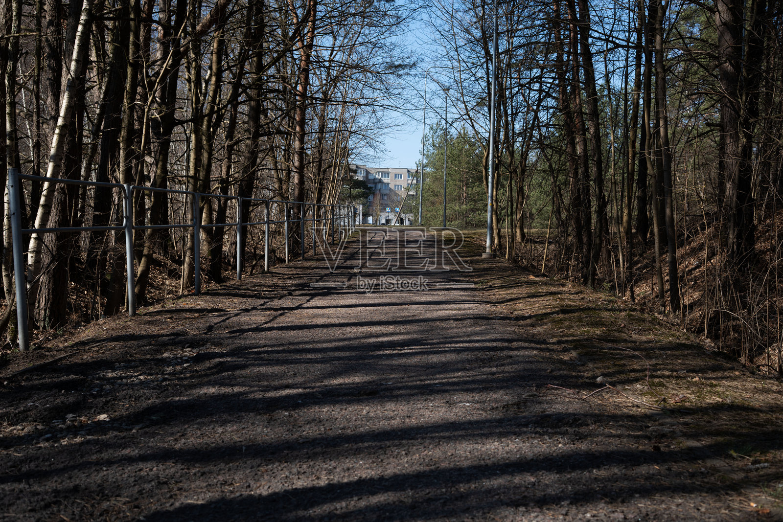 长长的树荫小径通向远处的建筑，旁边有金属栏杆，蓝天晴朗，阳光在碎石小径上投下复杂的阴影，开阔，地平线，宁静照片摄影图片
