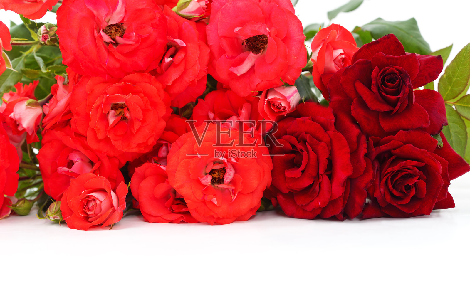 玫瑰花束。照片摄影图片