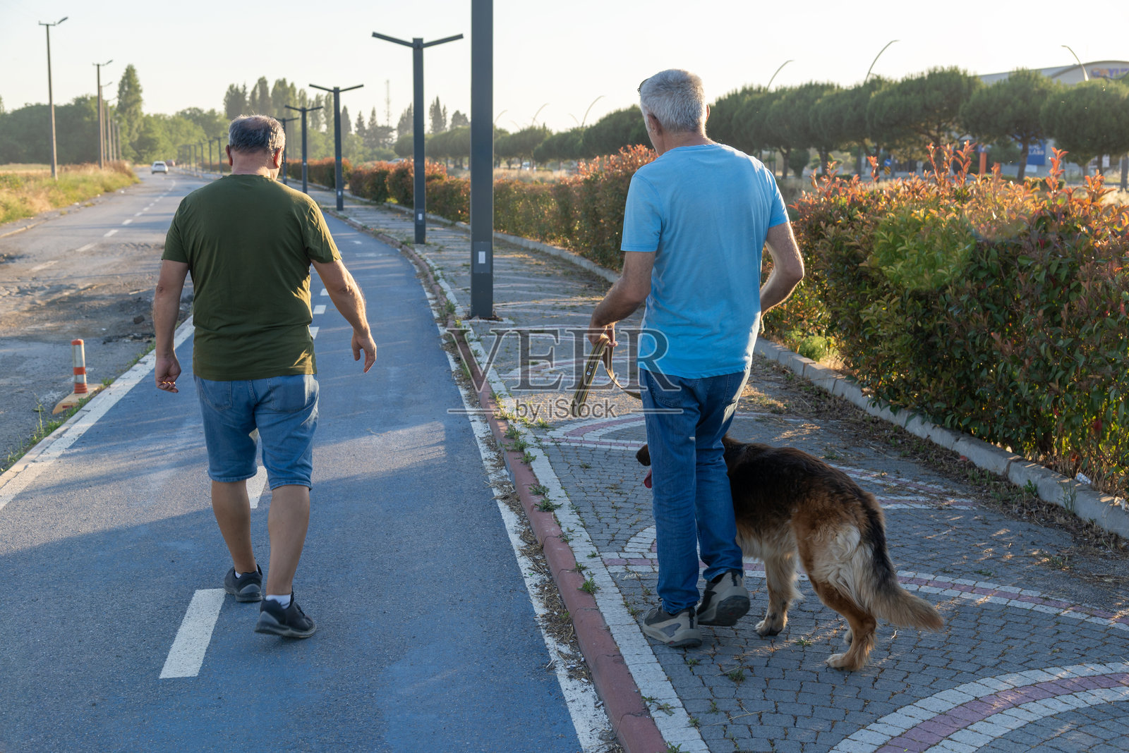 两位散步者和一只狗照片摄影图片
