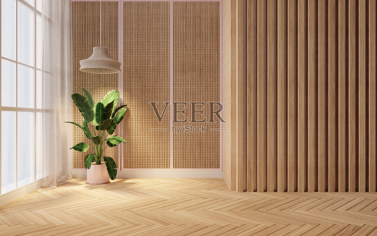 空荡荡的房间，极简主义室内设计，带有自然木质墙面纹理、垂直木条、藤编墙板，以及一盆大型热带植物放置在窗边，窗帘轻薄。3D渲染图照片摄影图片