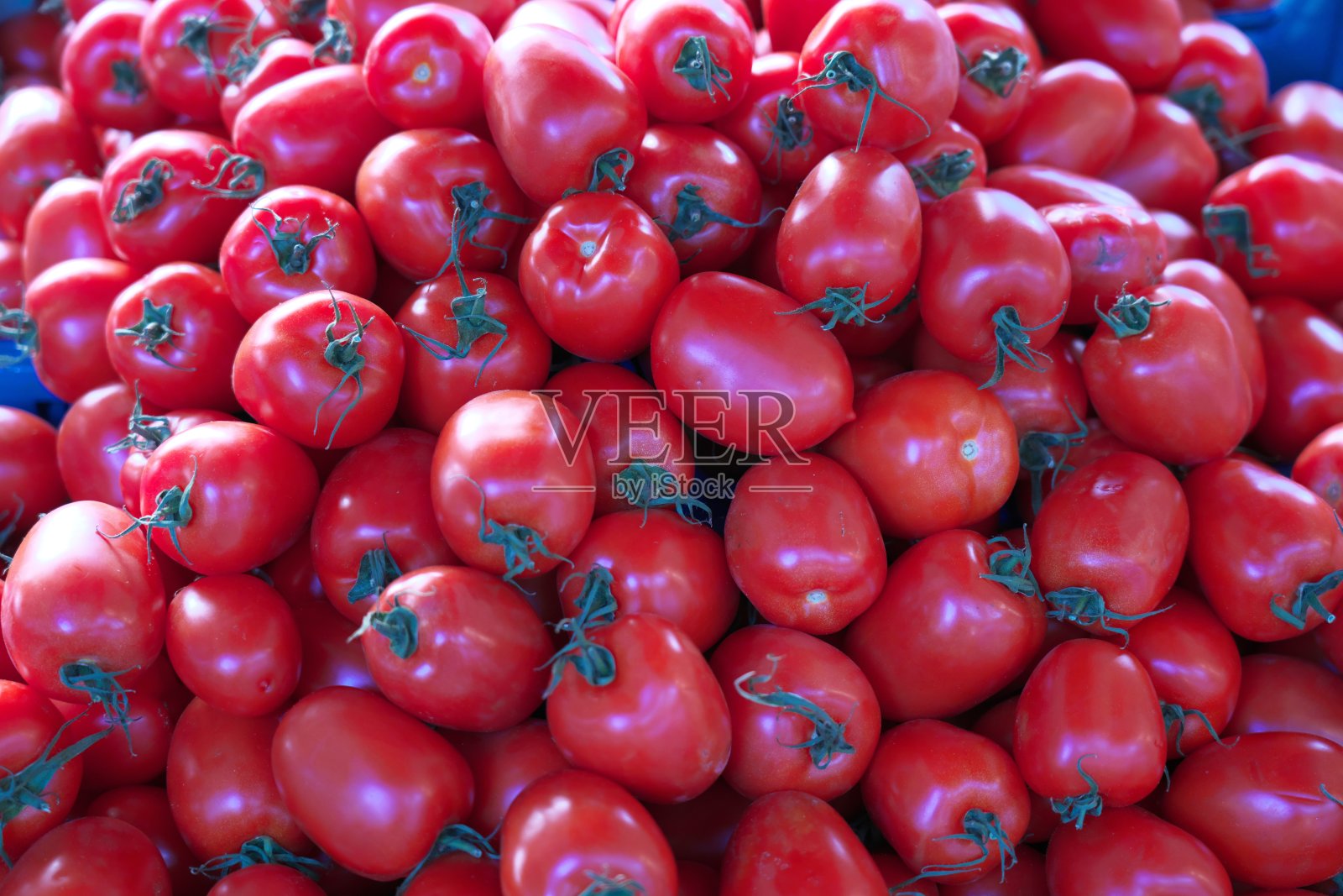 在巴黎的市场或露天市场出售的五彩新鲜番茄照片摄影图片