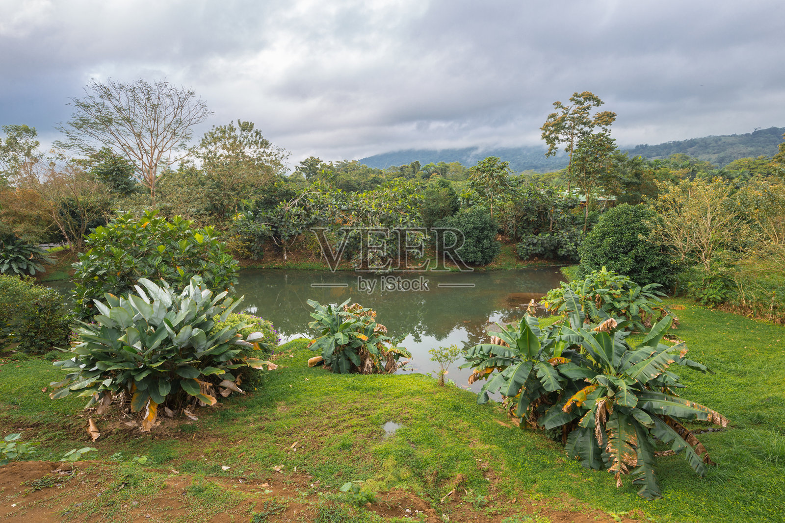 哥斯达黎加的阿雷纳尔热带公园和阿雷纳尔火山照片摄影图片