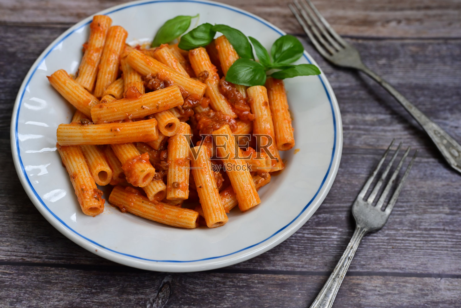 博洛尼亚意大利面照片摄影图片