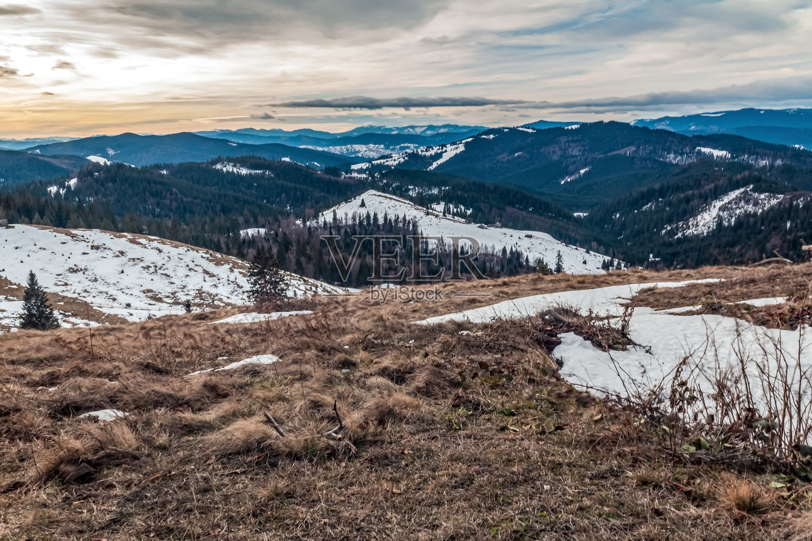 森林，喀尔巴阡山脉，自然照片 - 欧洲，东欧，罗马尼亚照片摄影图片