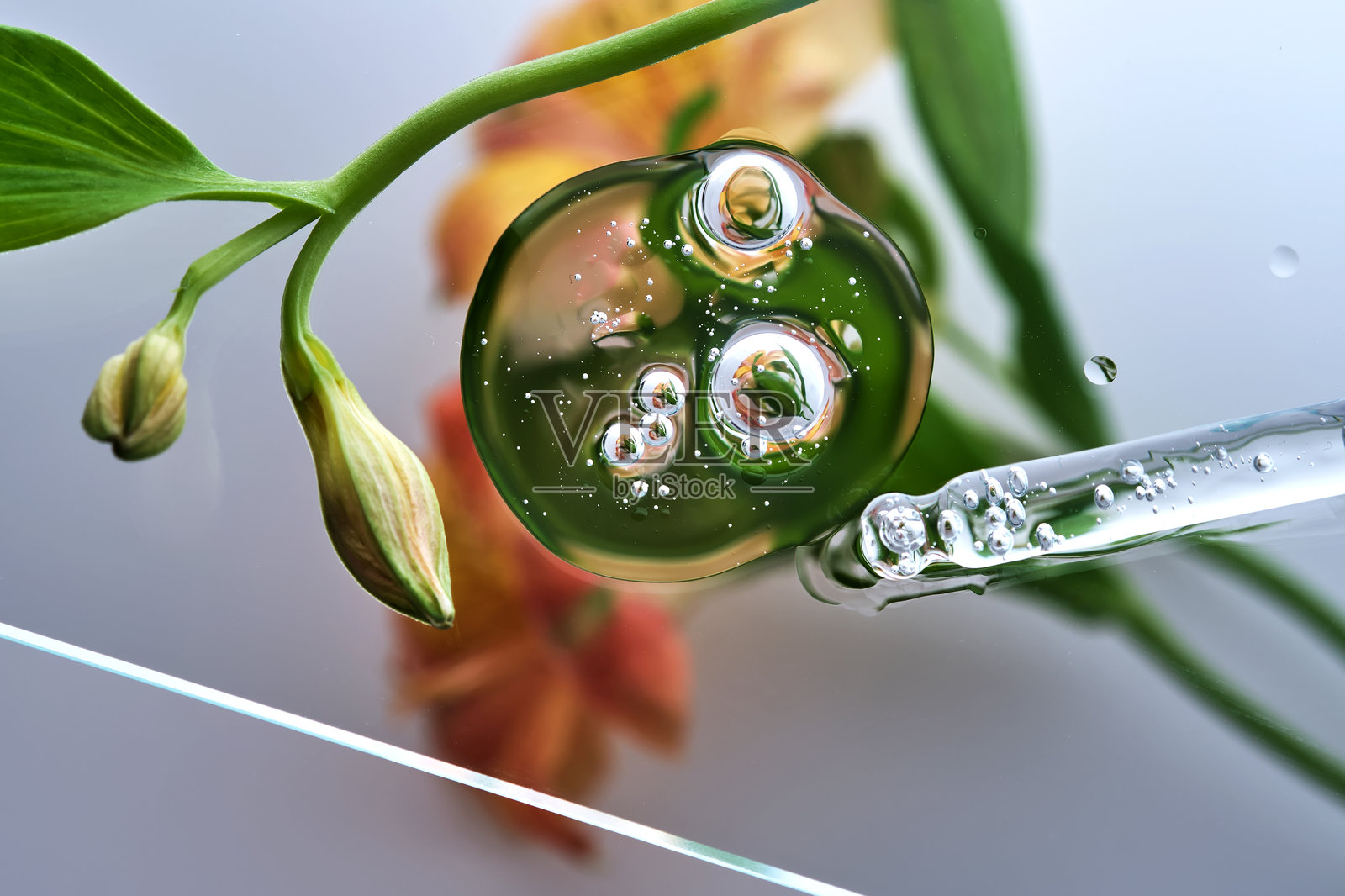 一支带有美丽血清滴液的移液管，背景是百合花。照片摄影图片