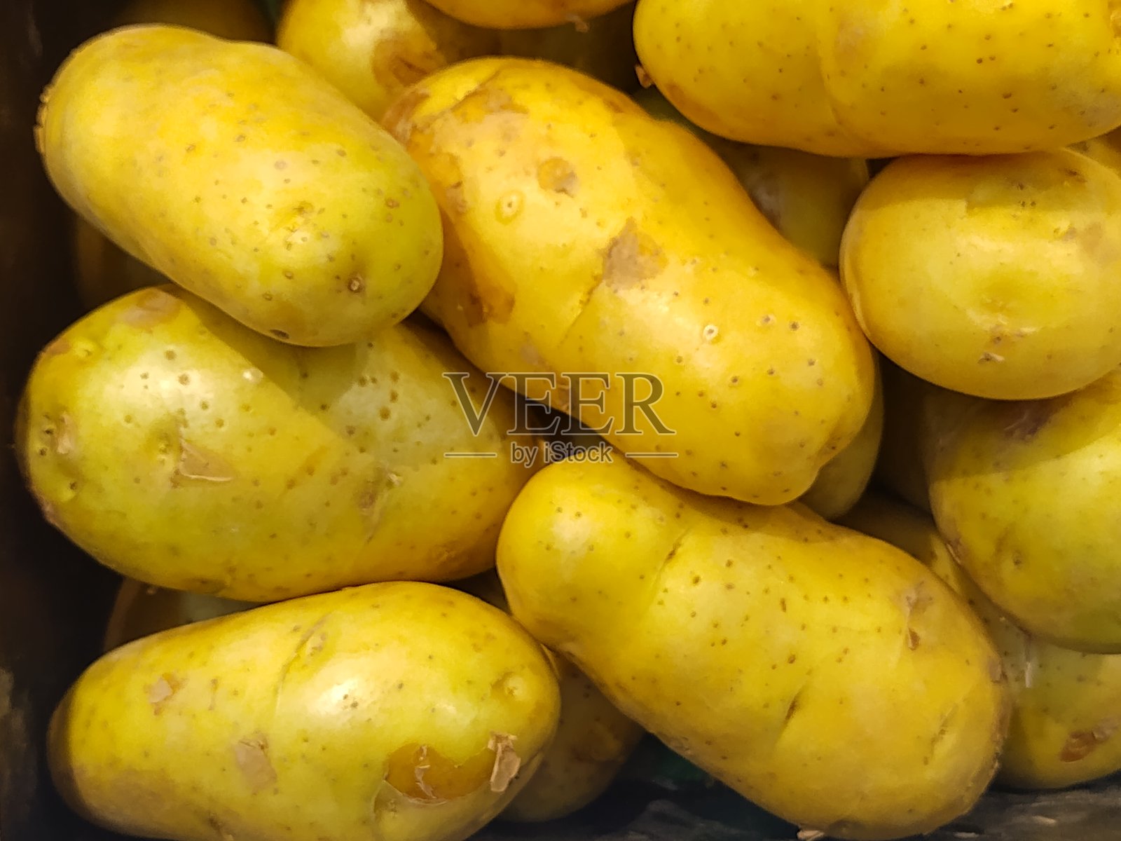 一组乡村风格的新鲜土豆展示，展现它们的自然形态和多种菜肴的潜力。照片摄影图片