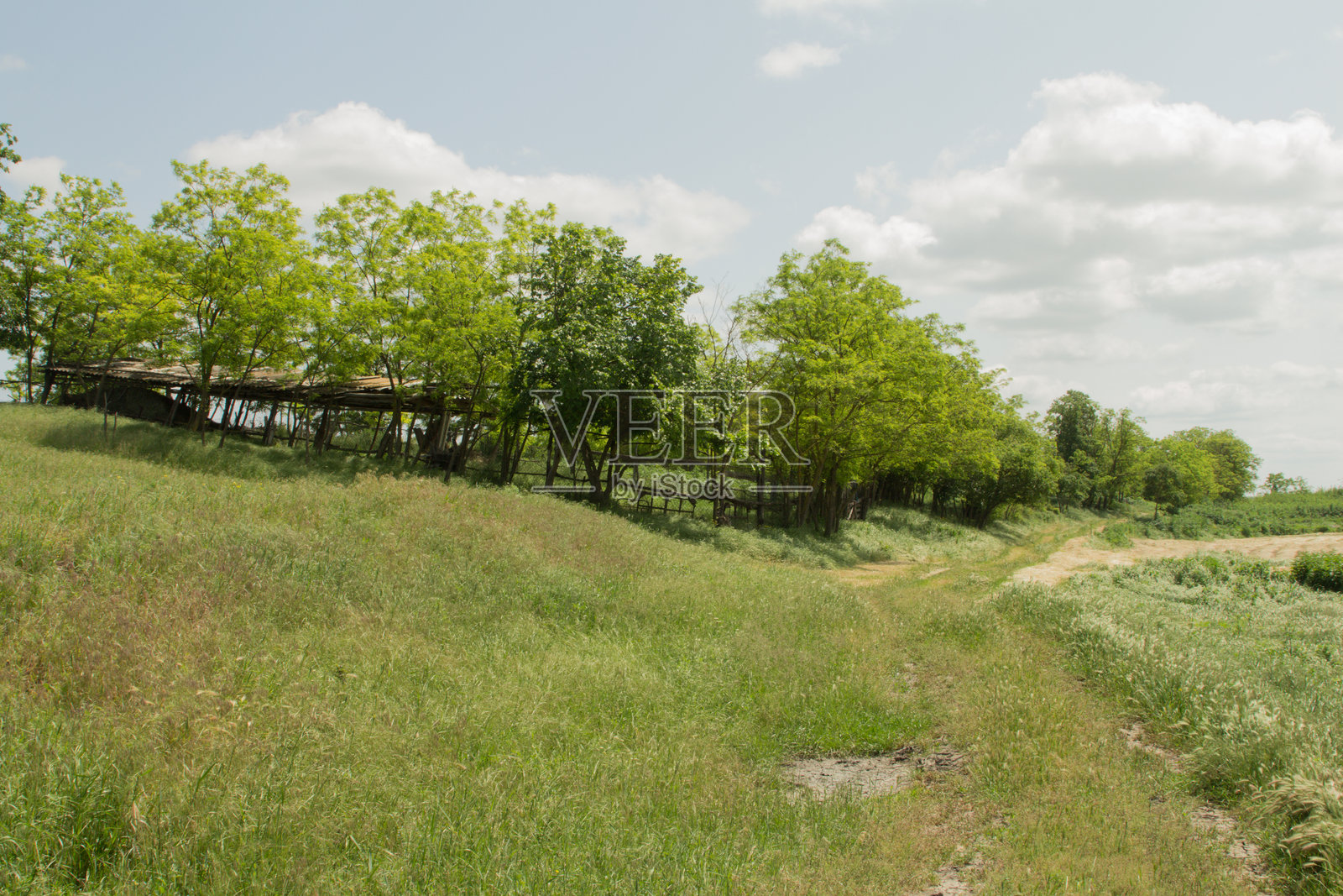 围栏上的标志照片摄影图片