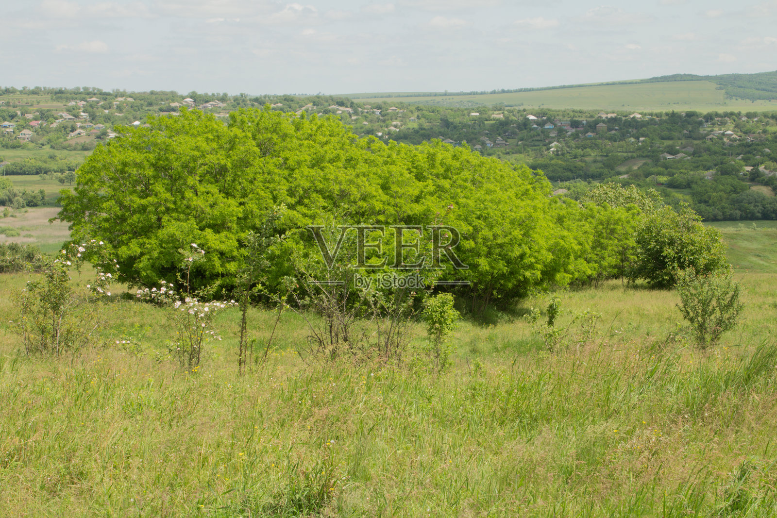 田野中的标志照片摄影图片