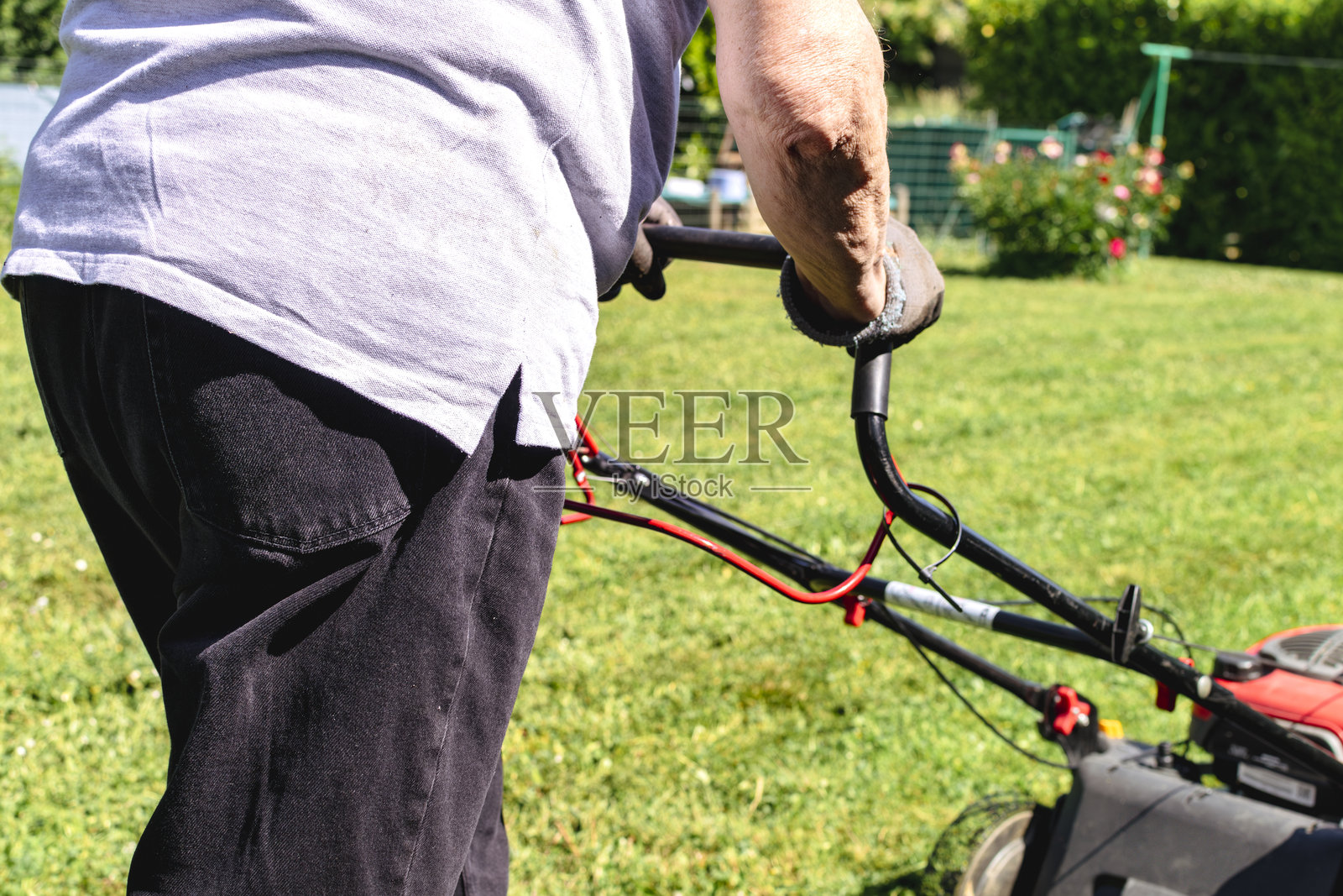 在花园里用机器割草照片摄影图片